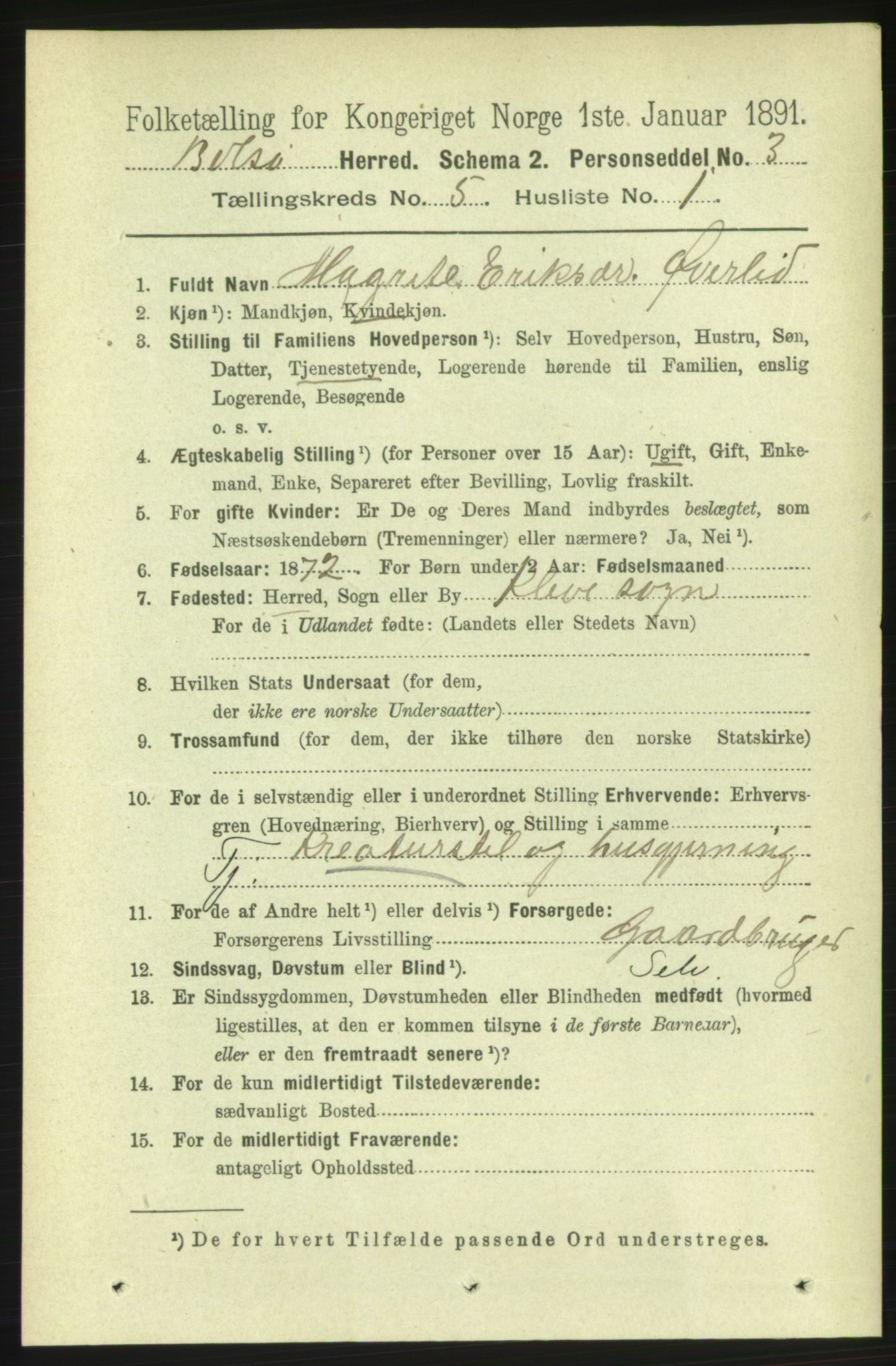 RA, 1891 census for 1544 Bolsøy, 1891, p. 3132