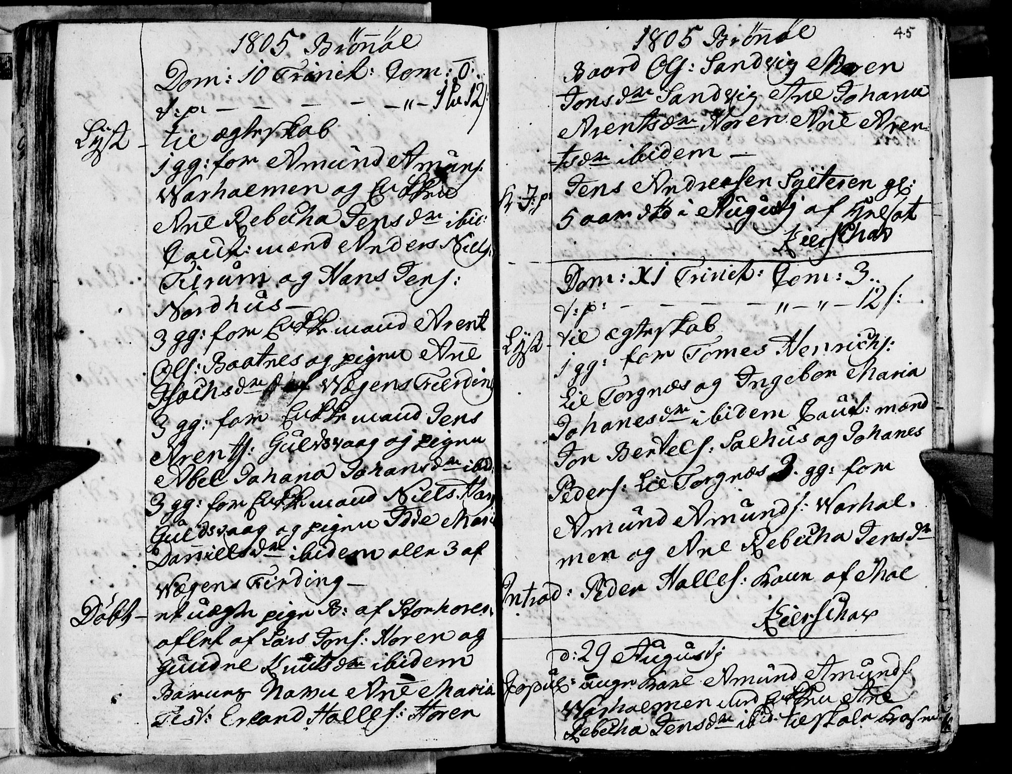 Ministerialprotokoller, klokkerbøker og fødselsregistre - Nordland, AV/SAT-A-1459/813/L0209: Parish register (copy) no. 813C01, 1803-1821, p. 45