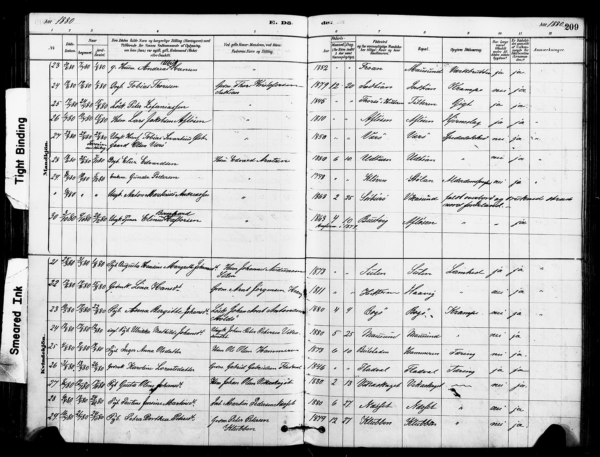 Ministerialprotokoller, klokkerbøker og fødselsregistre - Sør-Trøndelag, SAT/A-1456/640/L0578: Parish register (official) no. 640A03, 1879-1889, p. 209