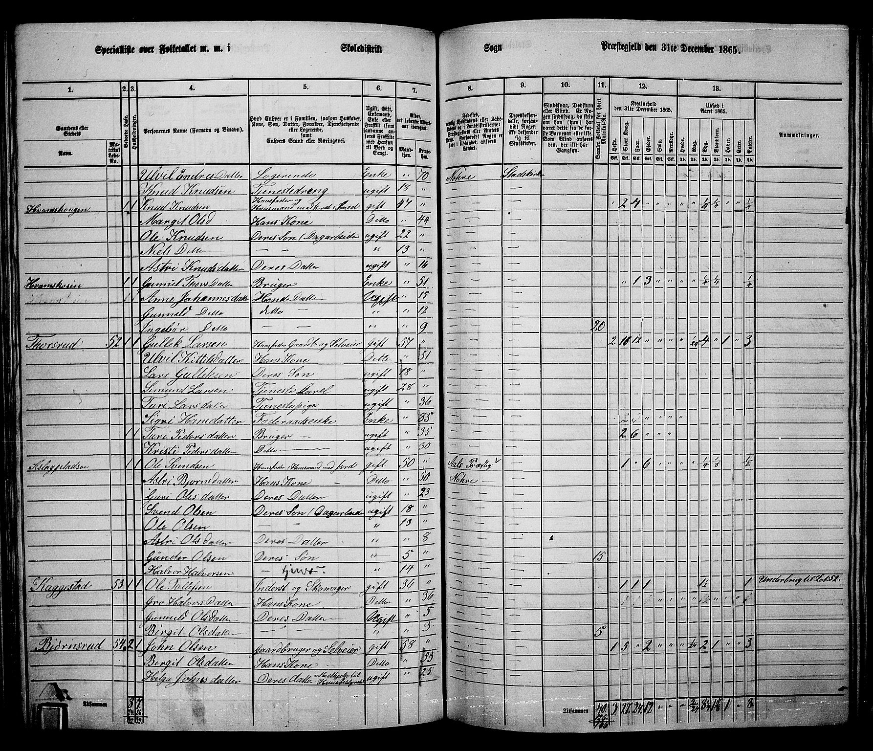 RA, 1865 census for Nore, 1865, p. 108