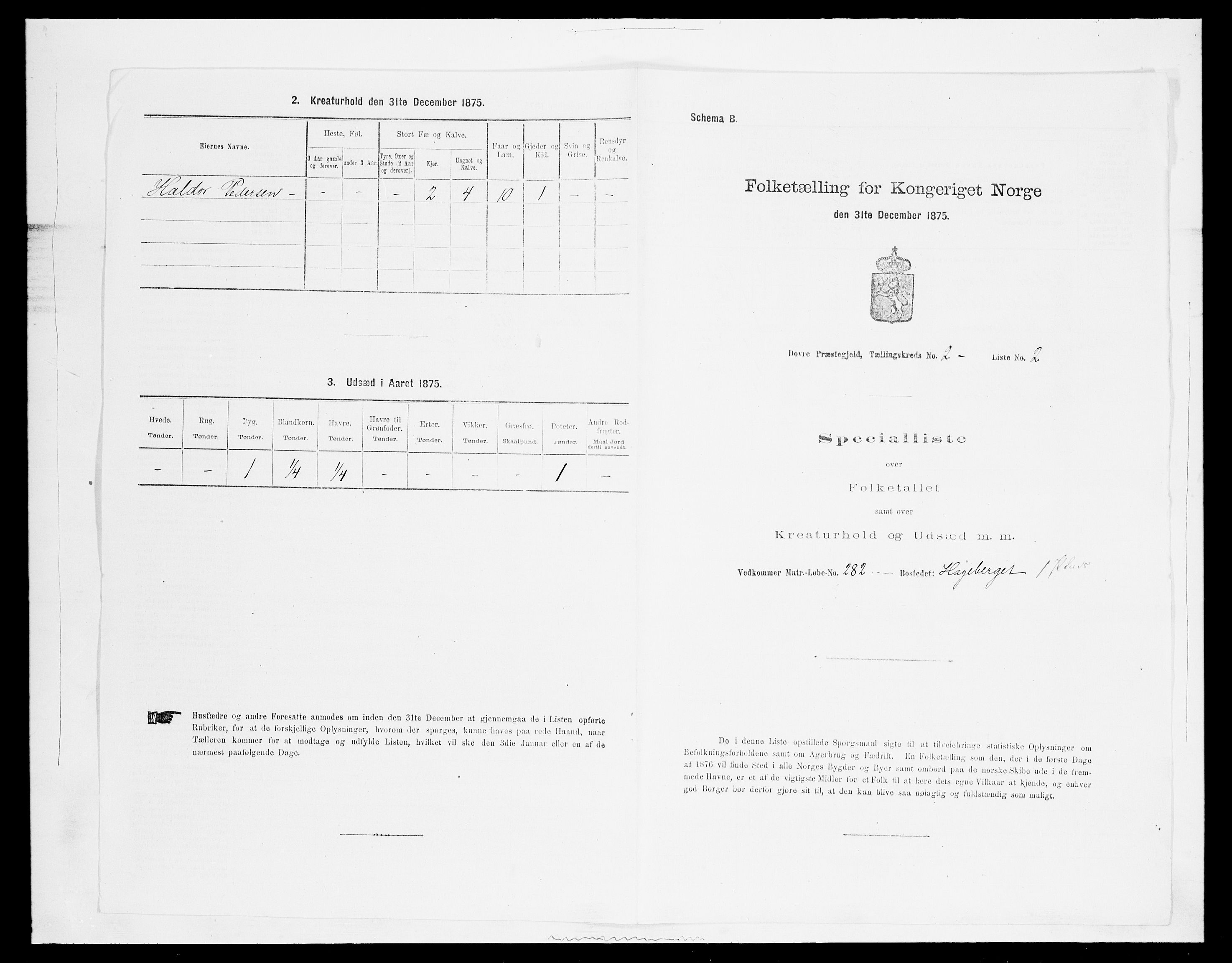 SAH, 1875 census for 0511P Dovre, 1875, p. 300