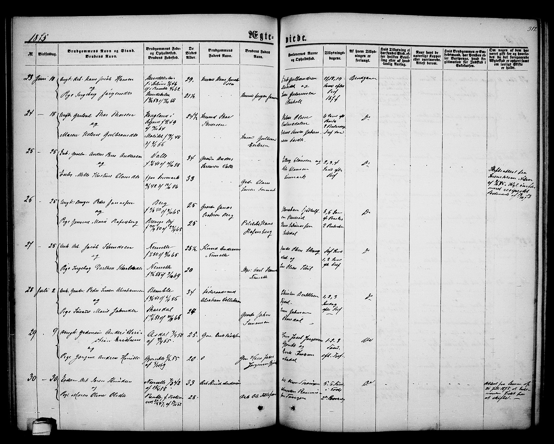 Bamble kirkebøker, AV/SAKO-A-253/G/Ga/L0006: Parish register (copy) no. I 6, 1860-1876, p. 317