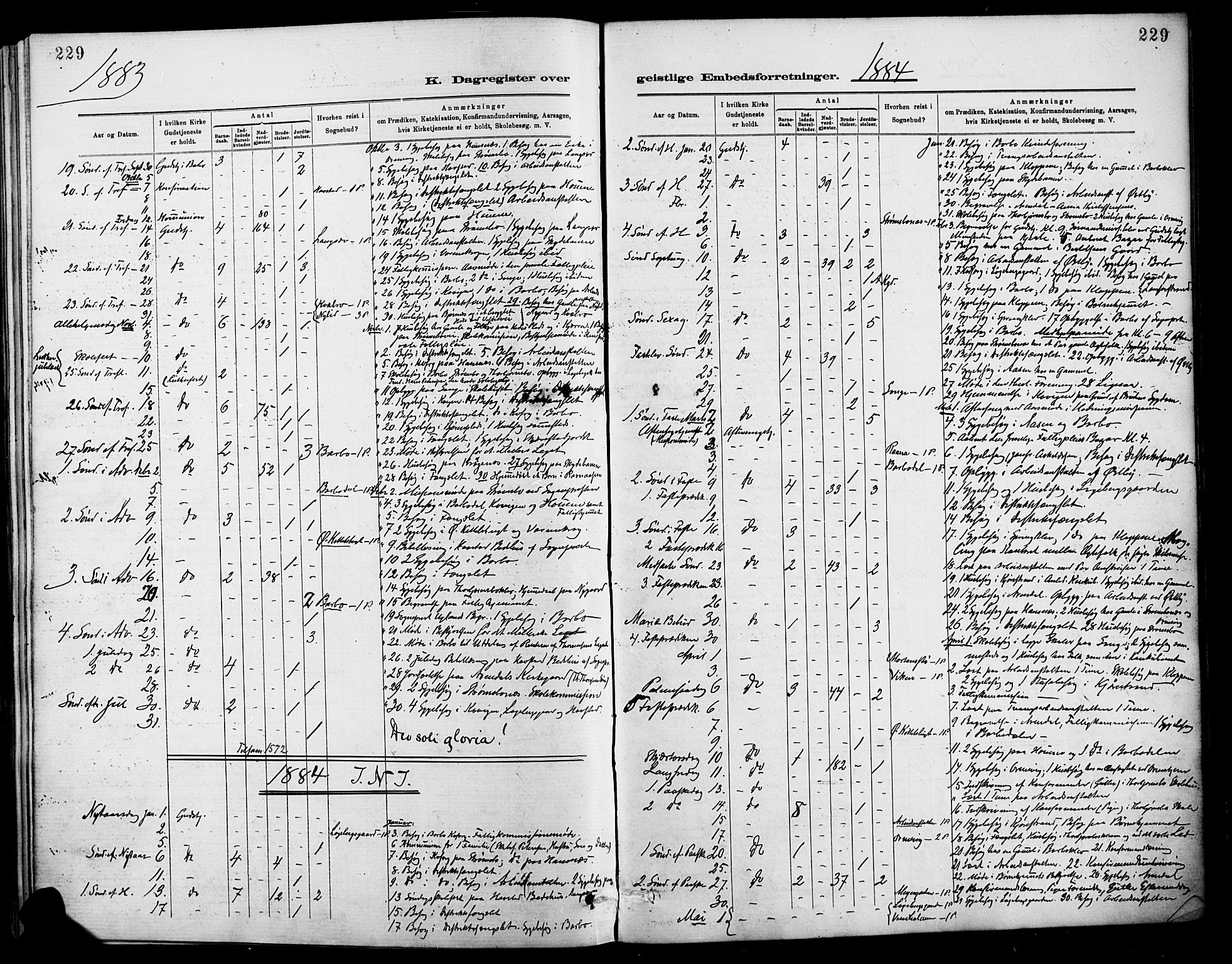 Barbu sokneprestkontor, AV/SAK-1111-0003/F/Fa/L0003: Parish register (official) no. A 3, 1883-1898, p. 229