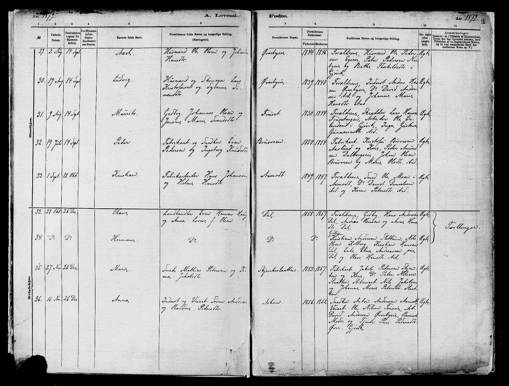 Vardal prestekontor, SAH/PREST-100/H/Ha/Haa/L0009: Parish register (official) no. 9, 1878-1892, p. 12