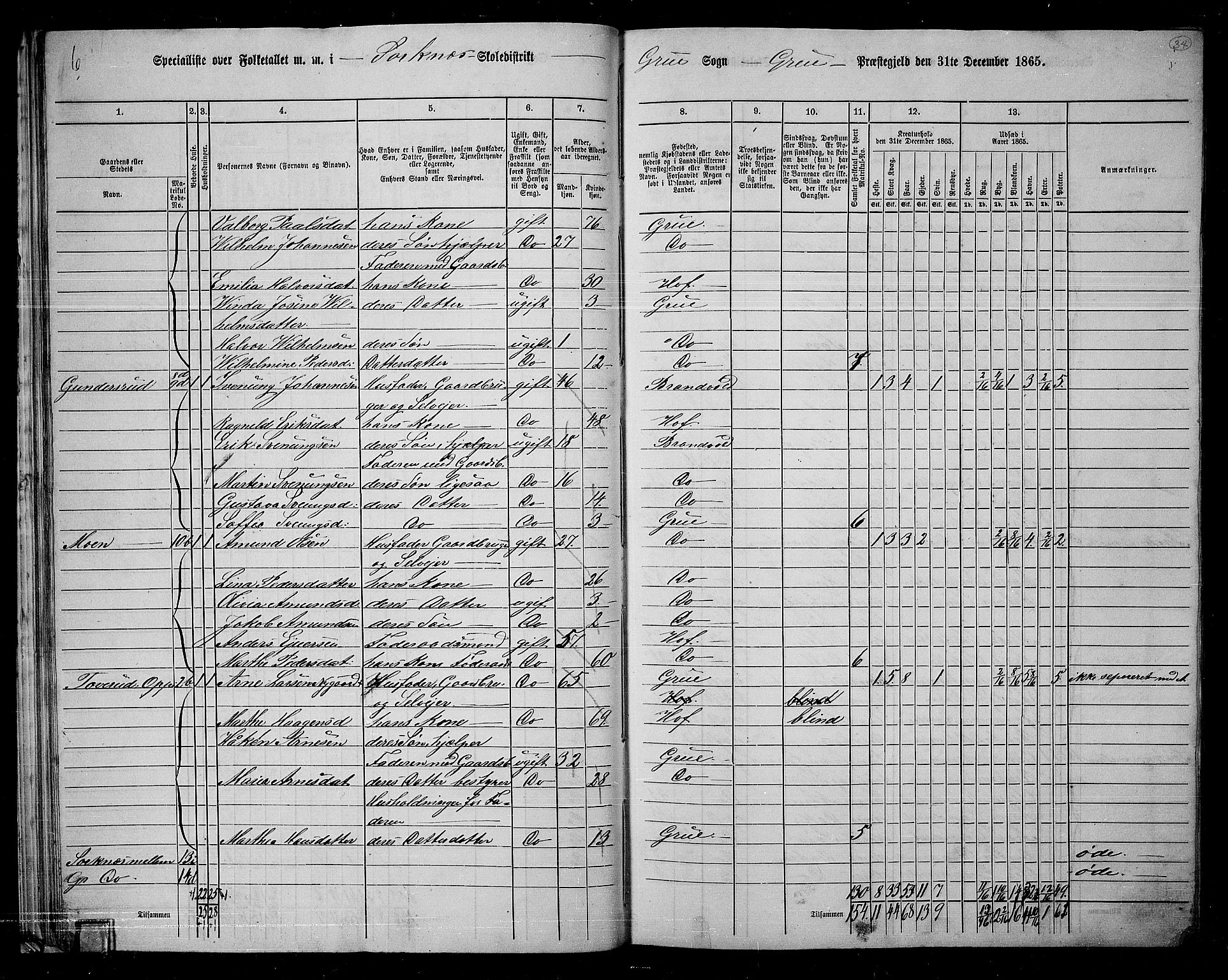 RA, 1865 census for Grue, 1865, p. 33