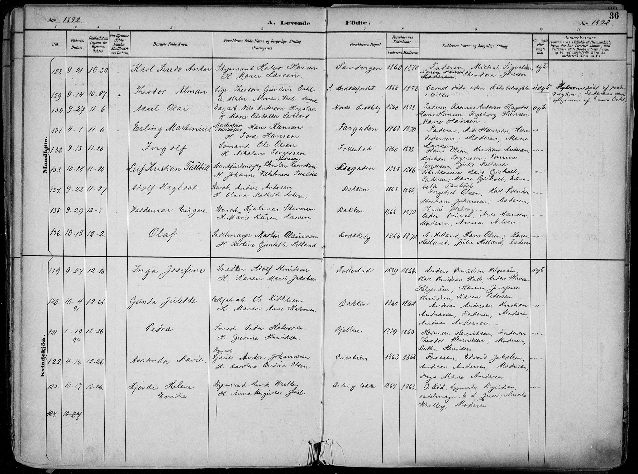 Skien kirkebøker, AV/SAKO-A-302/F/Fa/L0010: Parish register (official) no. 10, 1891-1899, p. 36