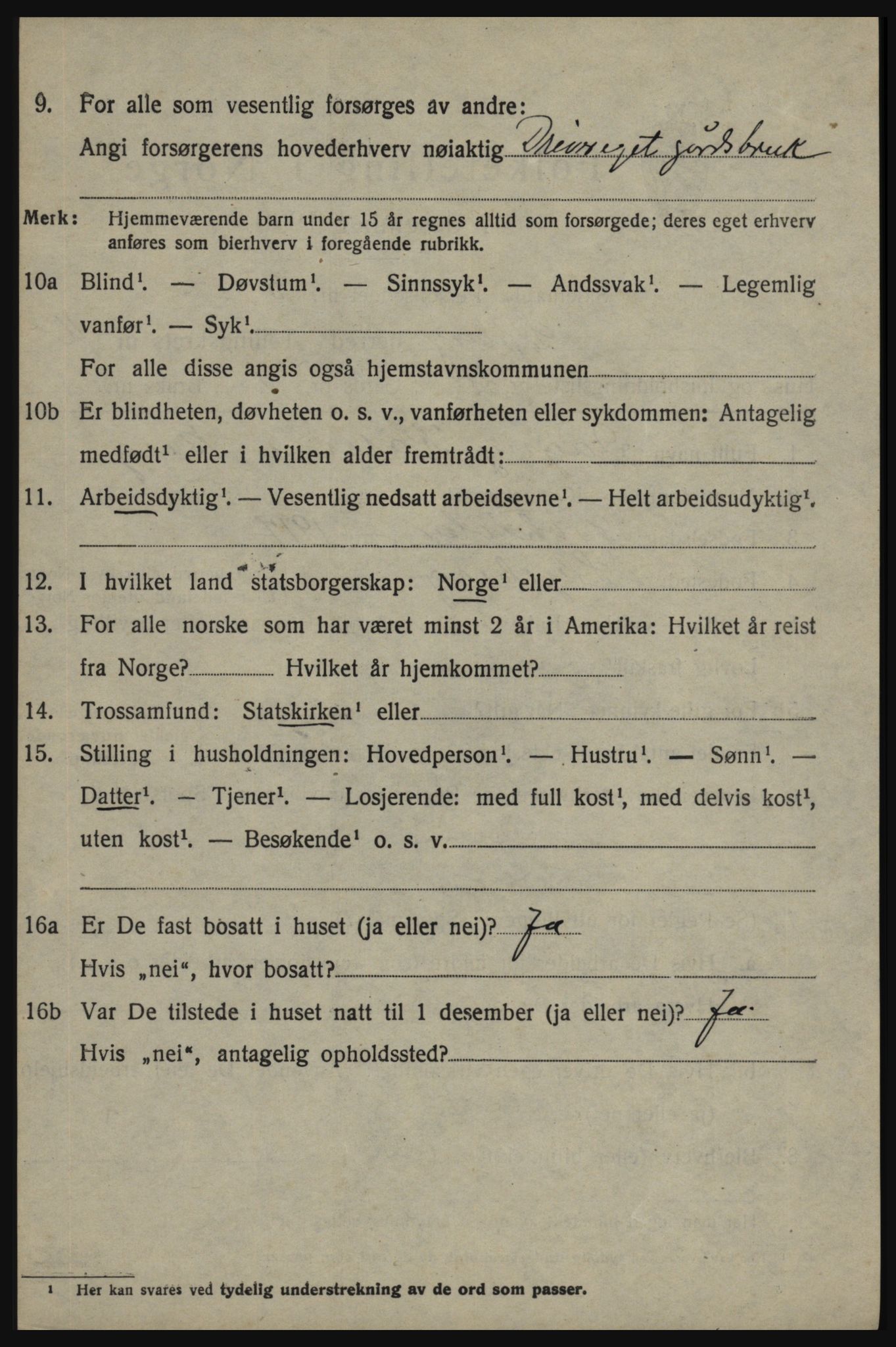 SAO, 1920 census for Skjeberg, 1920, p. 15078