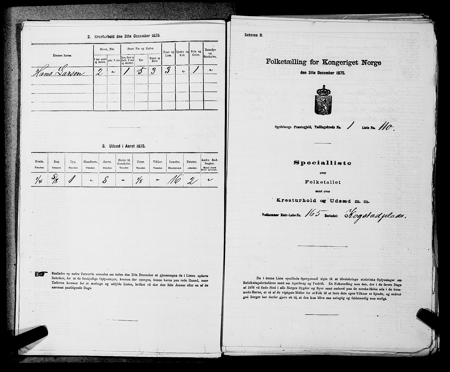 RA, 1875 census for 0123P Spydeberg, 1875, p. 47