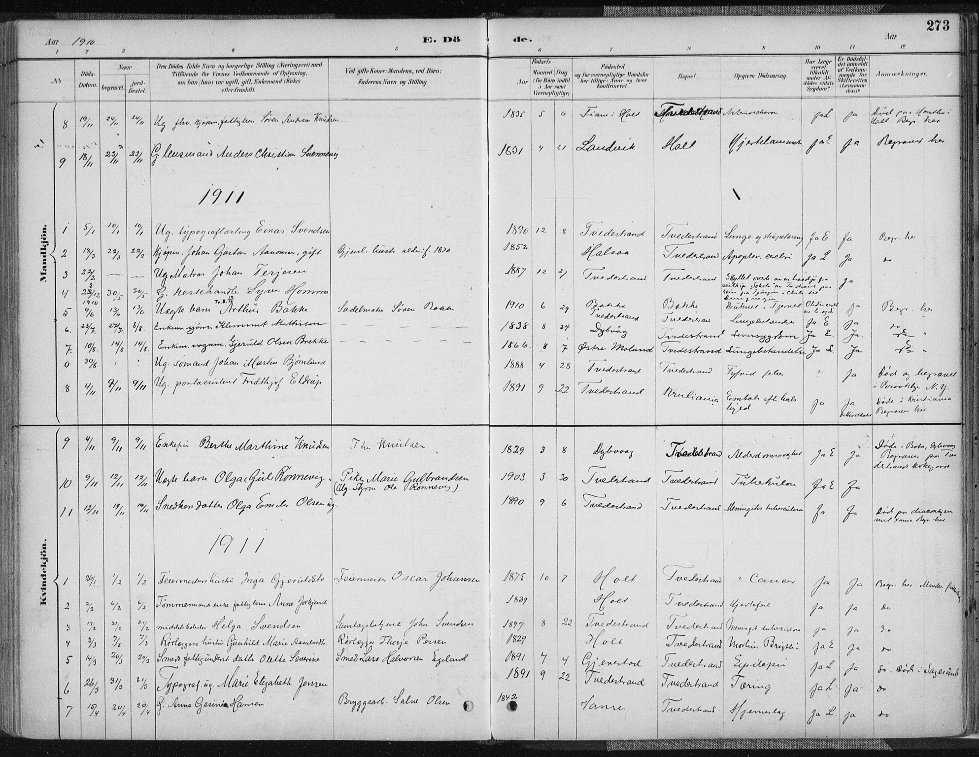 Tvedestrand sokneprestkontor, SAK/1111-0042/F/Fa/L0001: Parish register (official) no. A 1, 1885-1916, p. 273