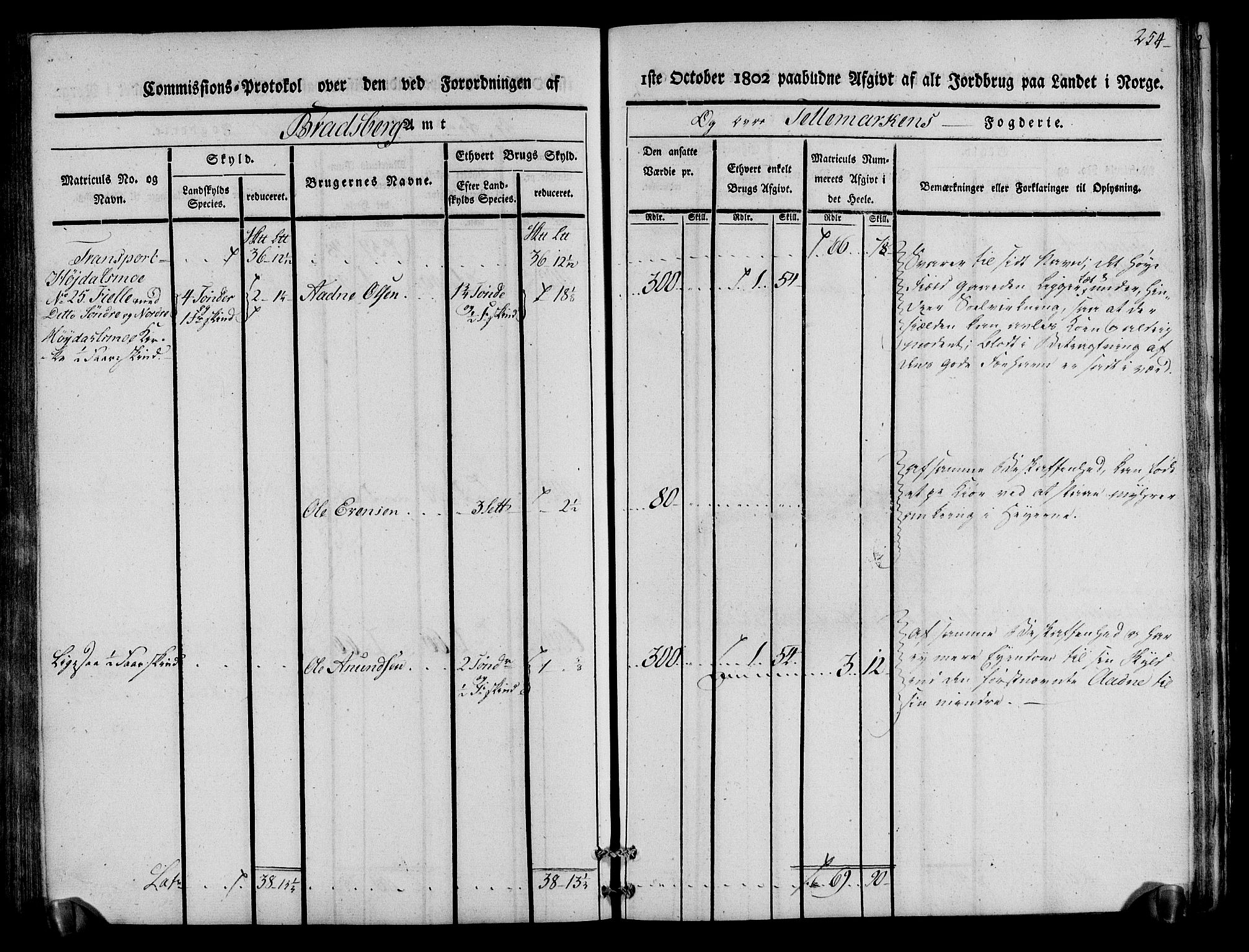 Rentekammeret inntil 1814, Realistisk ordnet avdeling, RA/EA-4070/N/Ne/Nea/L0075: Øvre Telemarken fogderi. Kommisjonsprotokoll for fogderiets vestre del - Kviteseid, Vinje, Moland [):Fyresdal] og Lårdal prestegjeld., 1803, p. 256