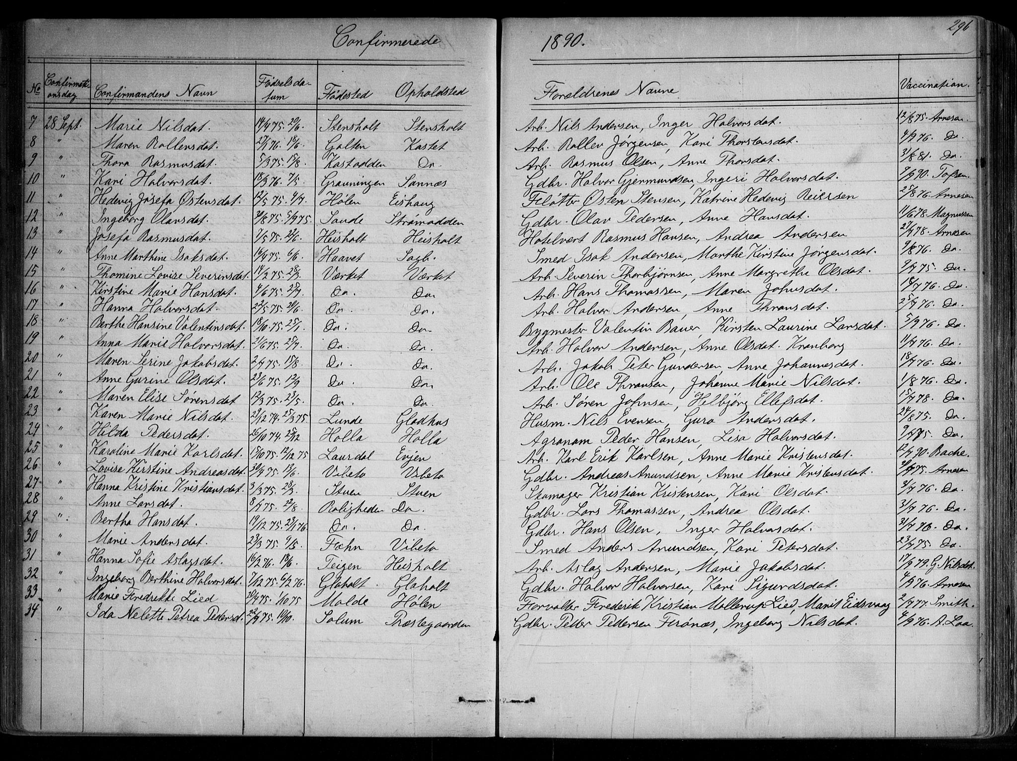 Holla kirkebøker, SAKO/A-272/G/Ga/L0004: Parish register (copy) no. I 4, 1867-1890, p. 296