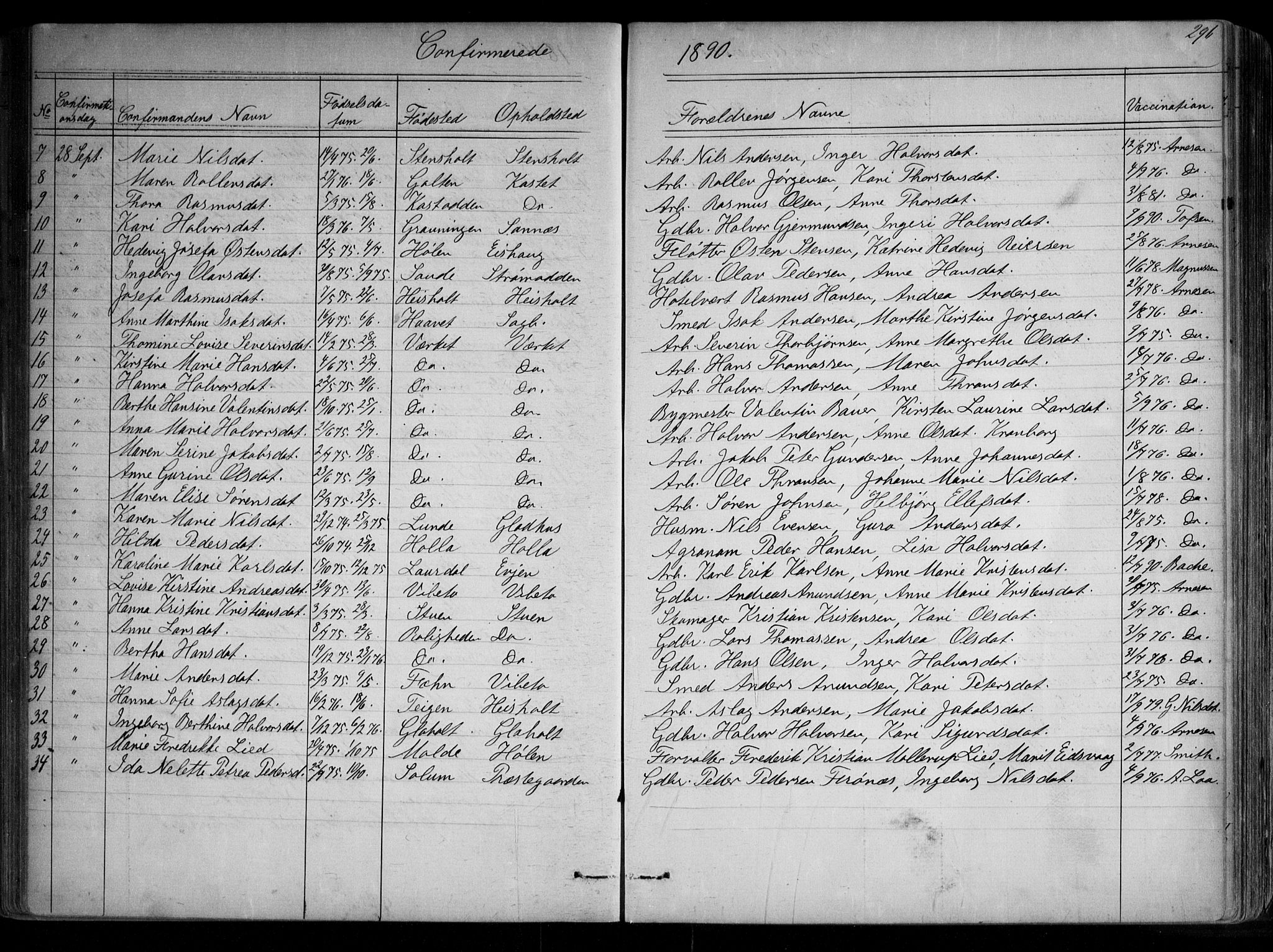 Holla kirkebøker, AV/SAKO-A-272/G/Ga/L0004: Parish register (copy) no. I 4, 1867-1890, p. 296