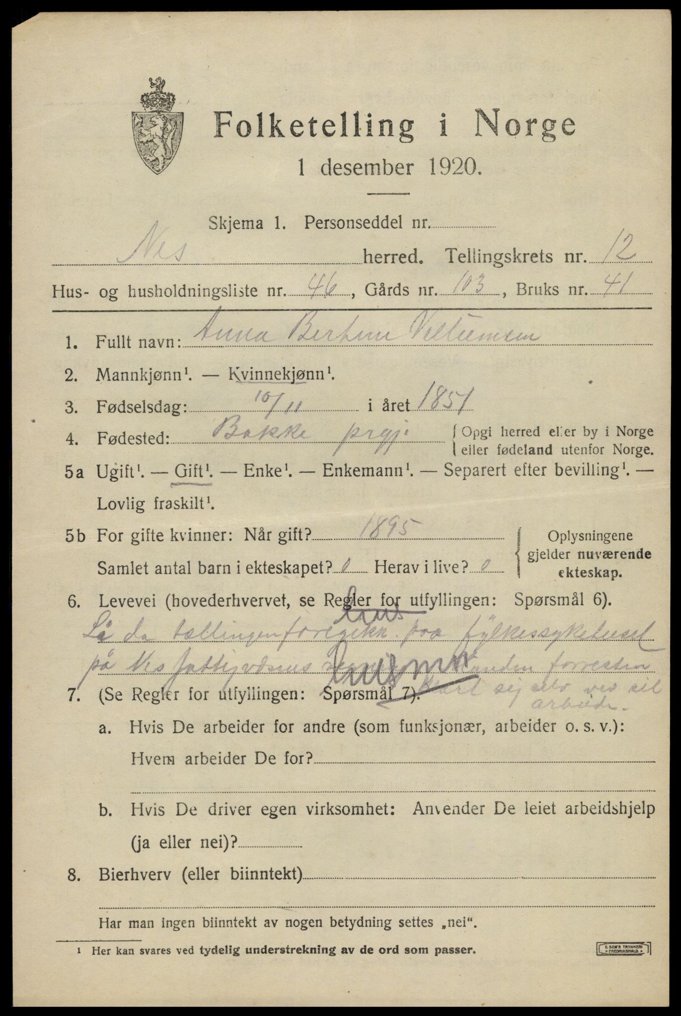 SAK, 1920 census for Nes (V-A), 1920, p. 4832
