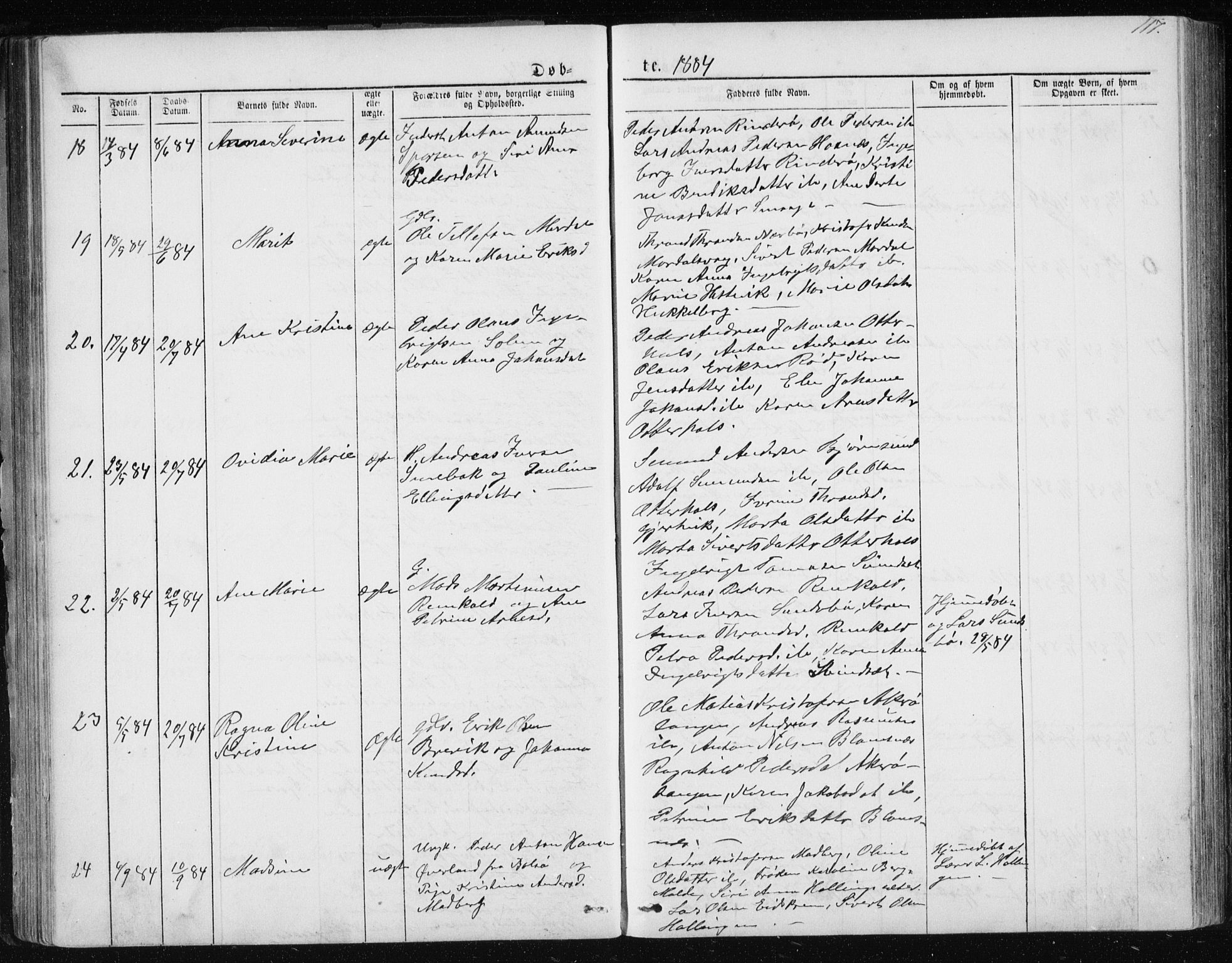 Ministerialprotokoller, klokkerbøker og fødselsregistre - Møre og Romsdal, SAT/A-1454/560/L0724: Parish register (copy) no. 560C01, 1867-1892, p. 117