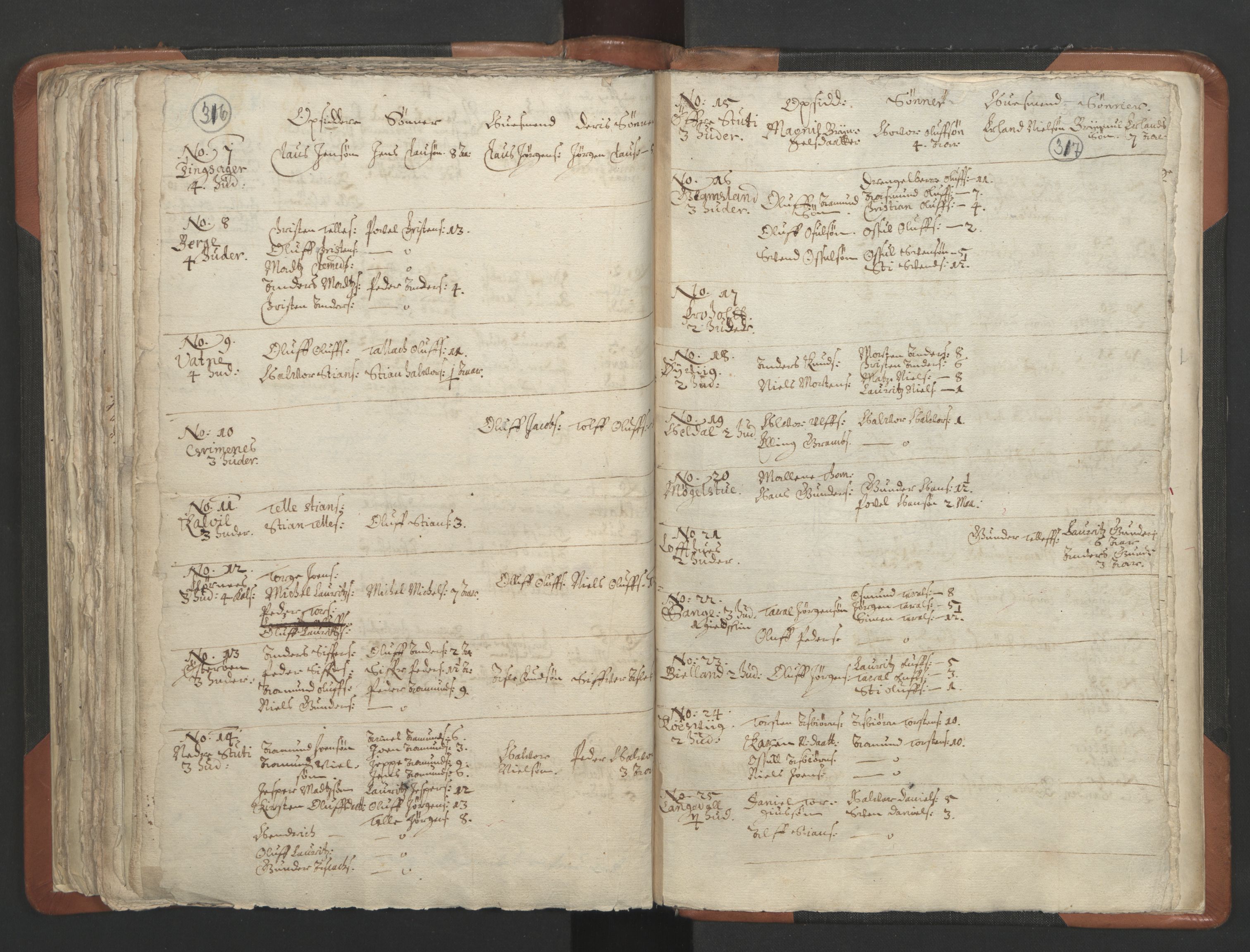 RA, Vicar's Census 1664-1666, no. 13: Nedenes deanery, 1664-1666, p. 316-317