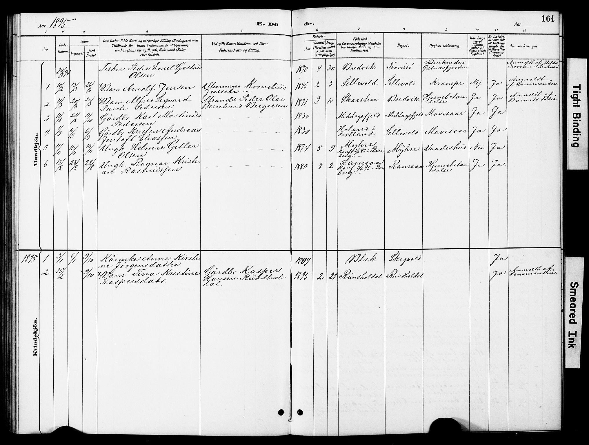 Ministerialprotokoller, klokkerbøker og fødselsregistre - Nordland, AV/SAT-A-1459/897/L1413: Parish register (copy) no. 897C03, 1887-1903, p. 164