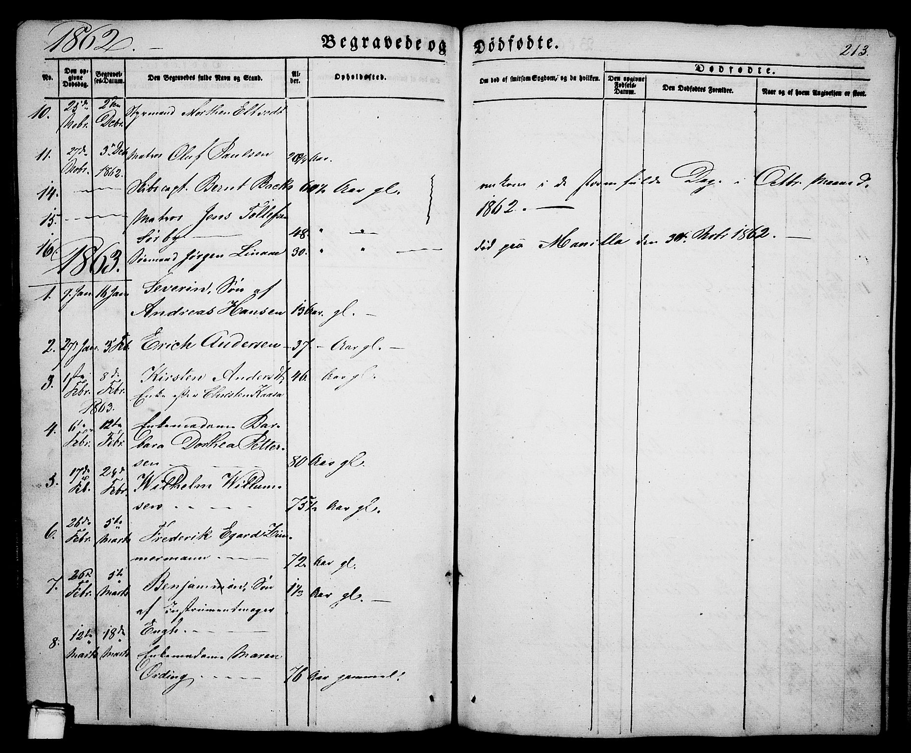 Porsgrunn kirkebøker , SAKO/A-104/G/Ga/L0002: Parish register (copy) no. I 2, 1847-1877, p. 213
