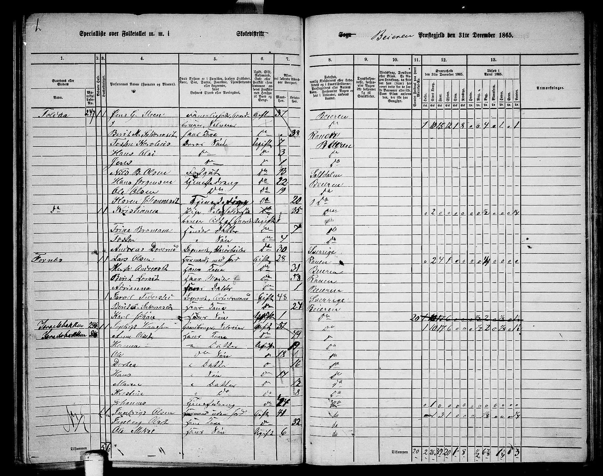 RA, 1865 census for Beiarn, 1865, p. 29