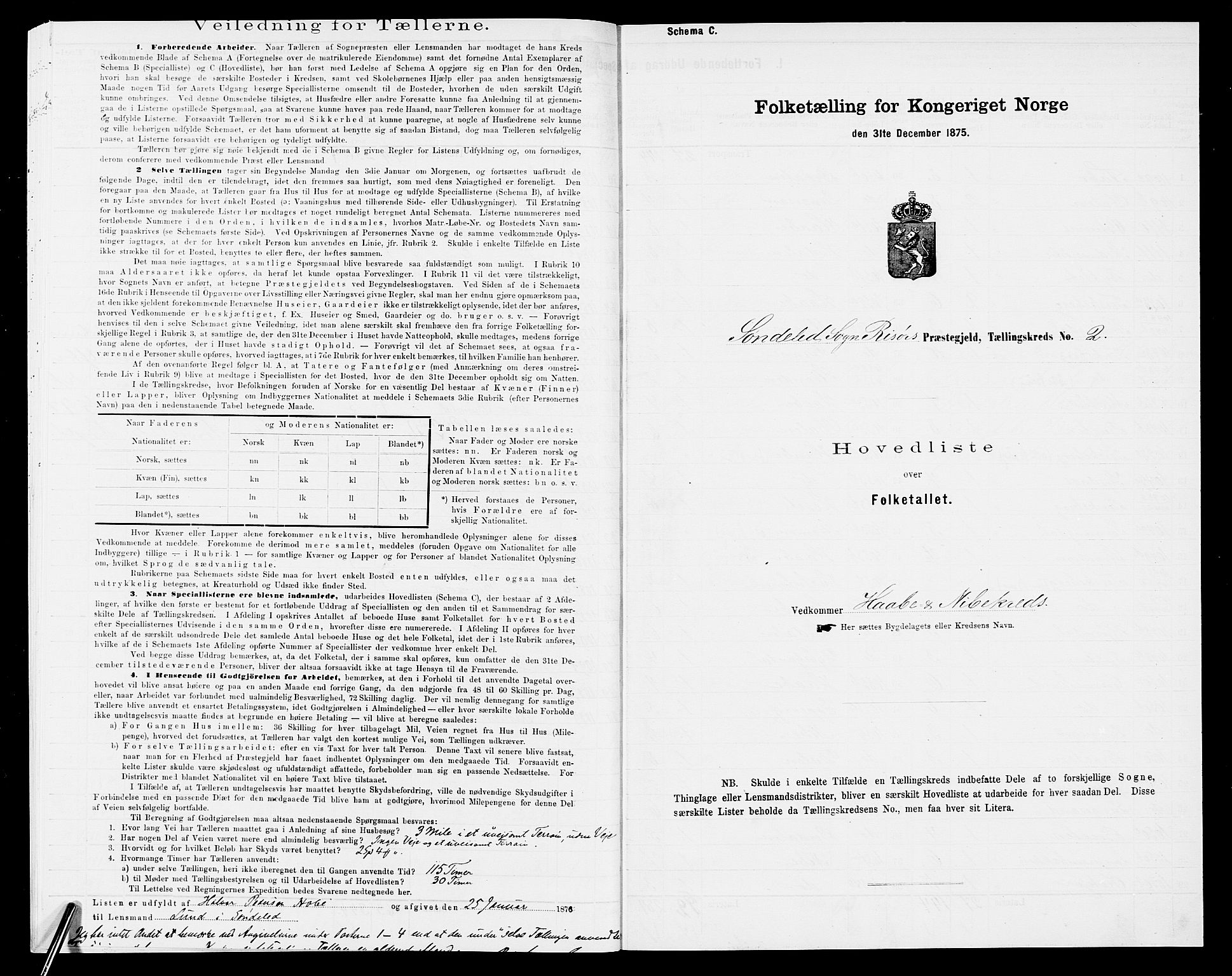 SAK, 1875 census for 0913L Risør/Søndeled, 1875, p. 25