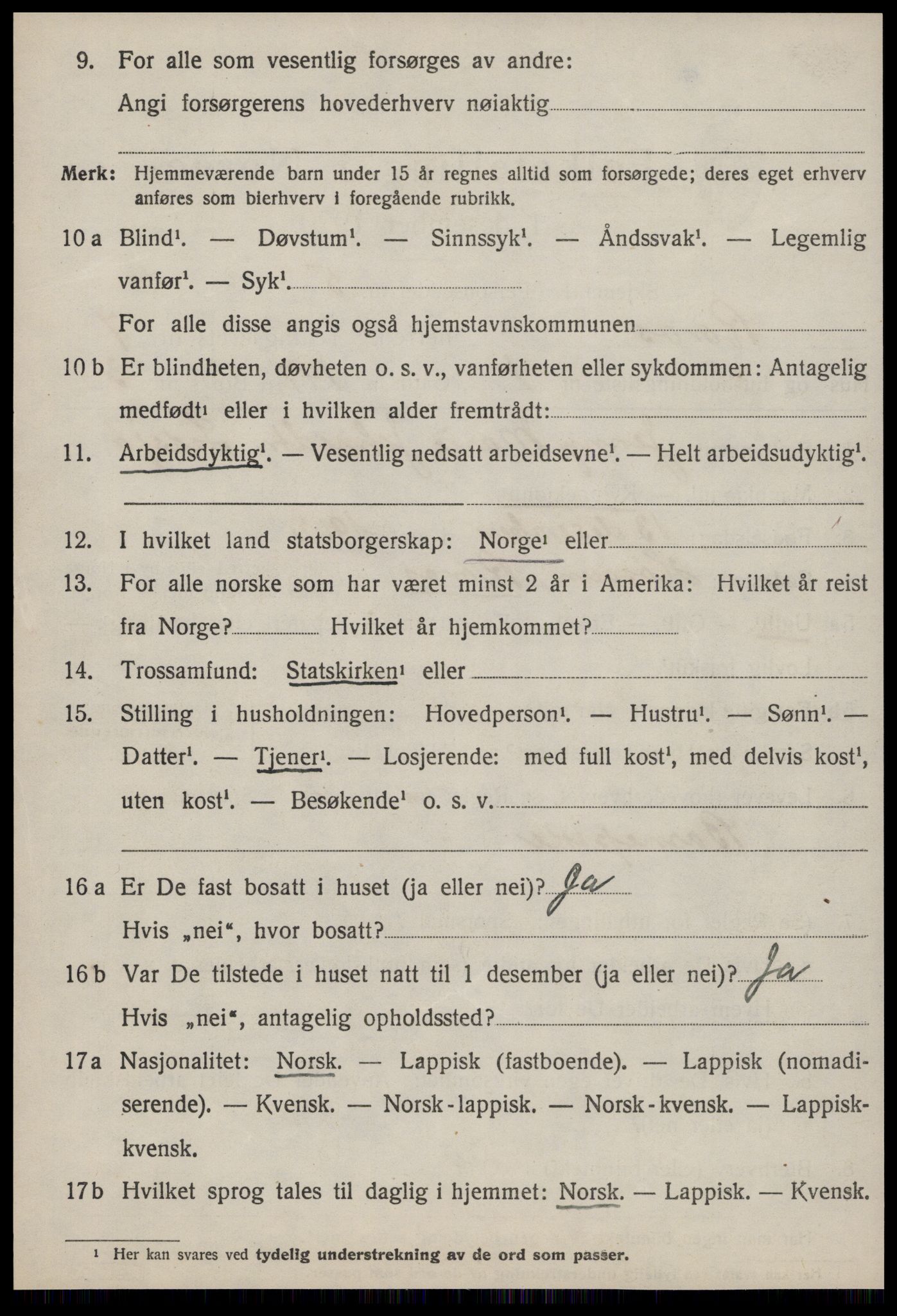 SAT, 1920 census for Røros, 1920, p. 6917