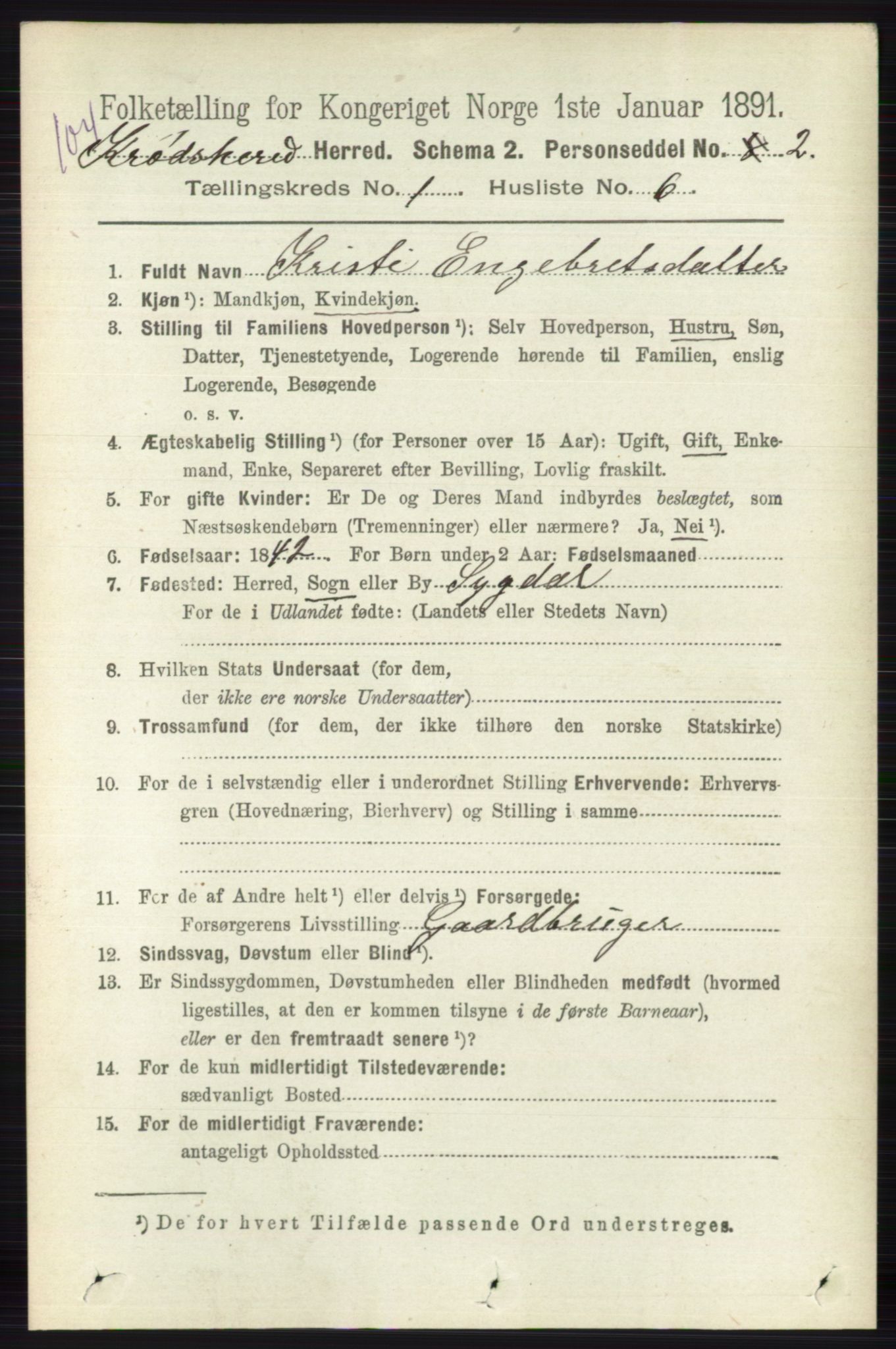 RA, 1891 census for 0621 Sigdal, 1891, p. 5019