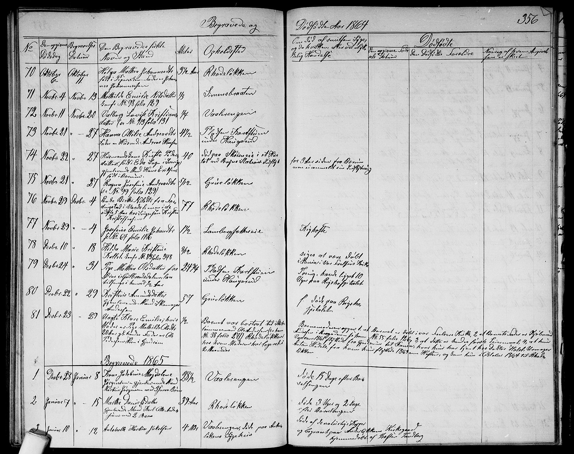 Østre Aker prestekontor Kirkebøker, SAO/A-10840/G/Ga/L0002: Parish register (copy) no. I 2, 1861-1867, p. 356
