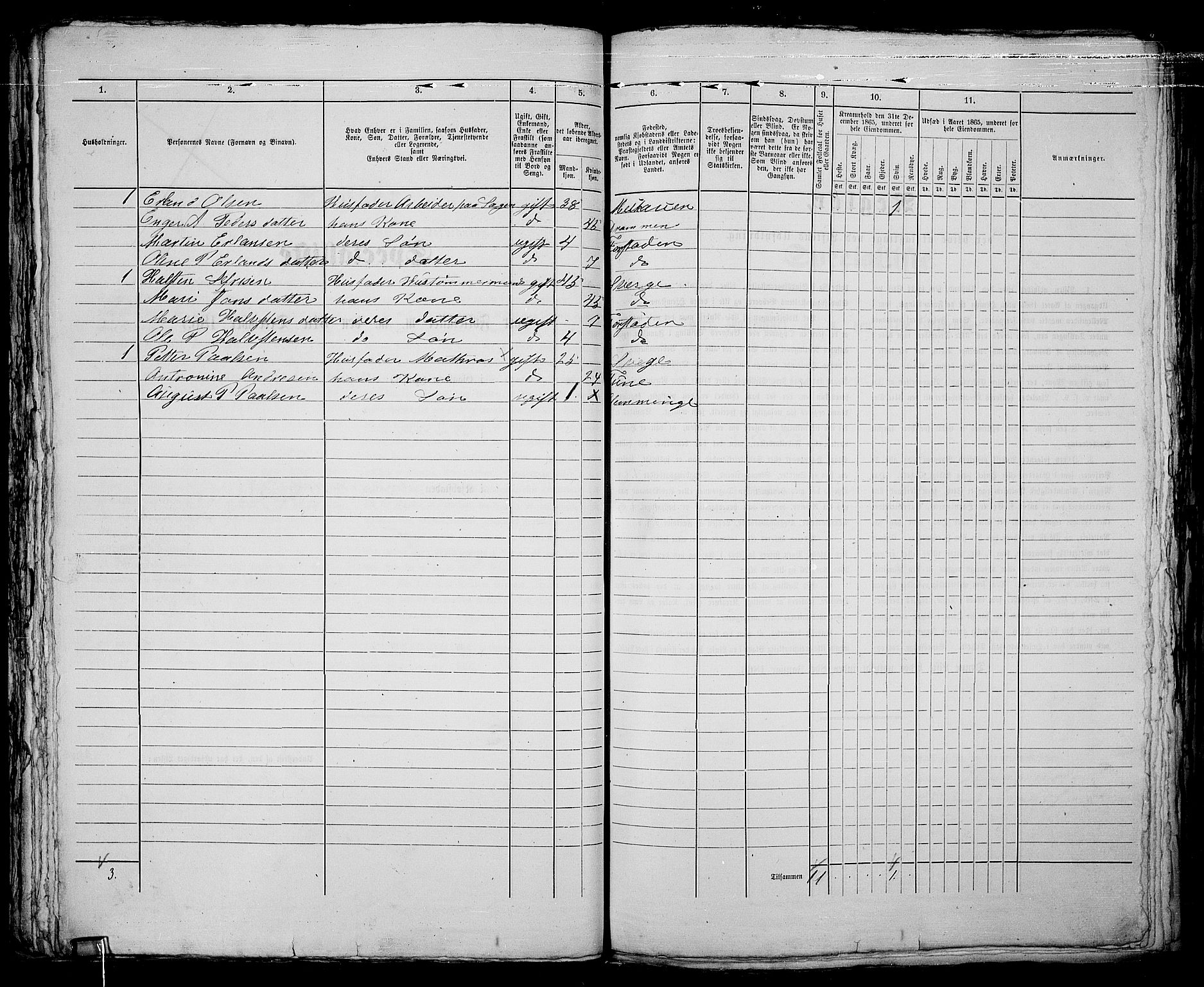 RA, 1865 census for Fredrikstad/Fredrikstad, 1865, p. 517