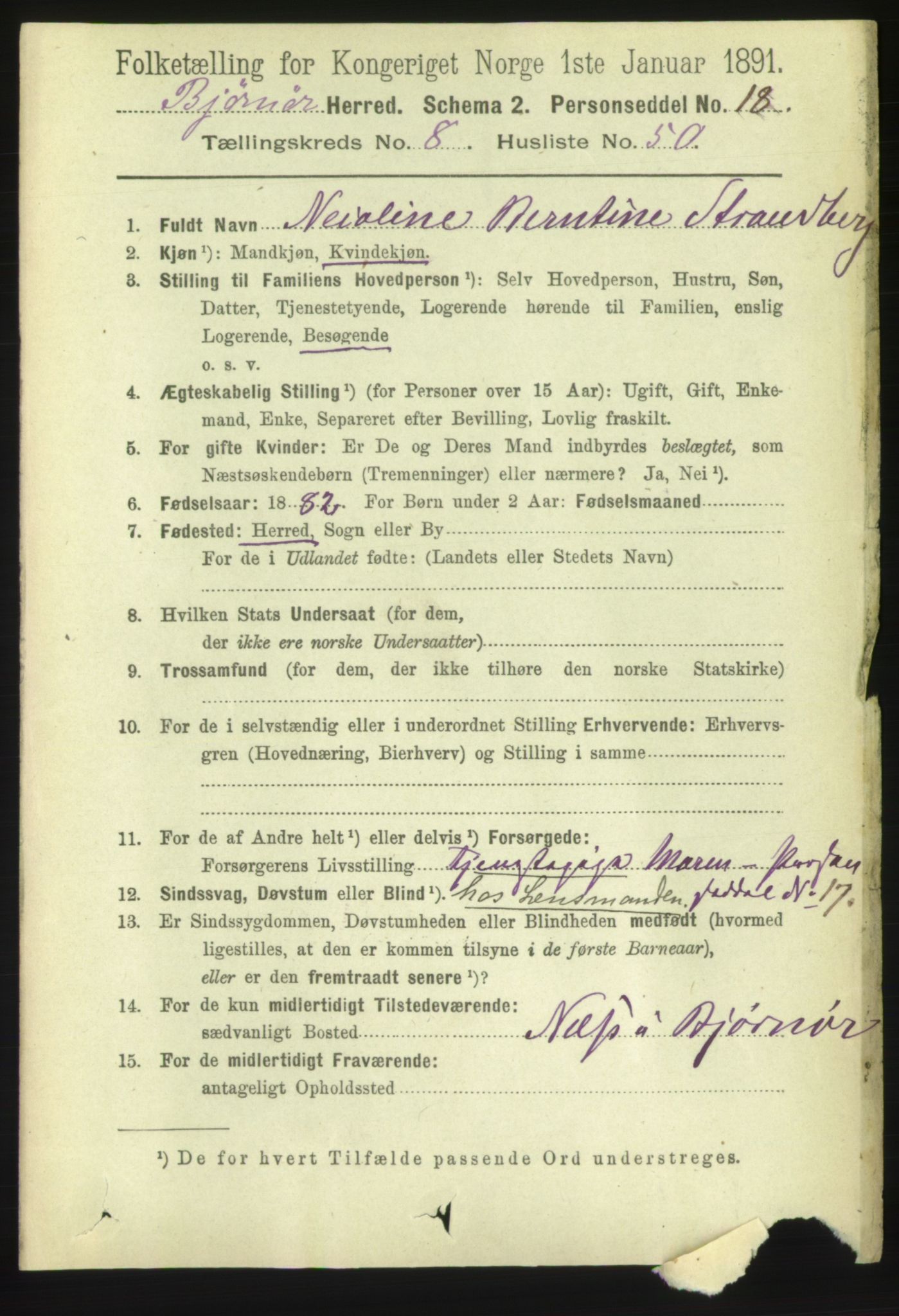 RA, 1891 census for 1632 Bjørnør, 1891, p. 3718