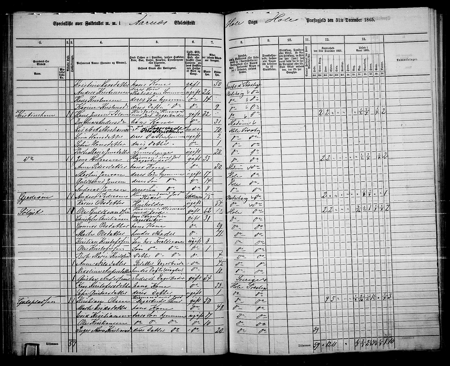 RA, 1865 census for Hole, 1865, p. 46