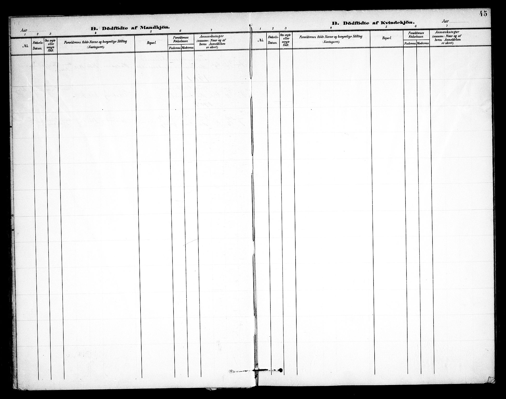 Skjeberg prestekontor Kirkebøker, AV/SAO-A-10923/F/Fb/L0002: Parish register (official) no. II 2, 1895-1910, p. 45