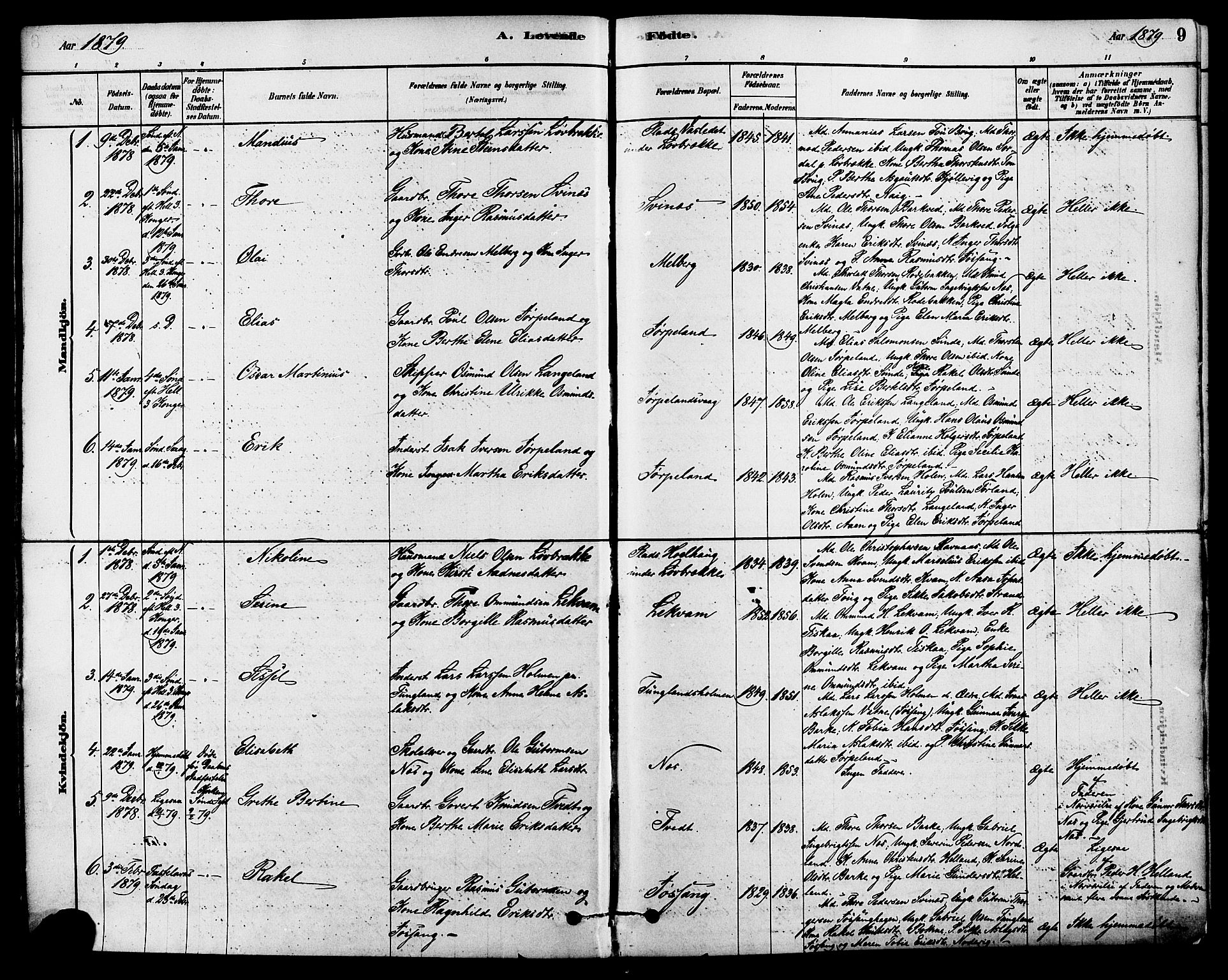 Strand sokneprestkontor, SAST/A-101828/H/Ha/Haa/L0009: Parish register (official) no. A 9, 1877-1908, p. 9