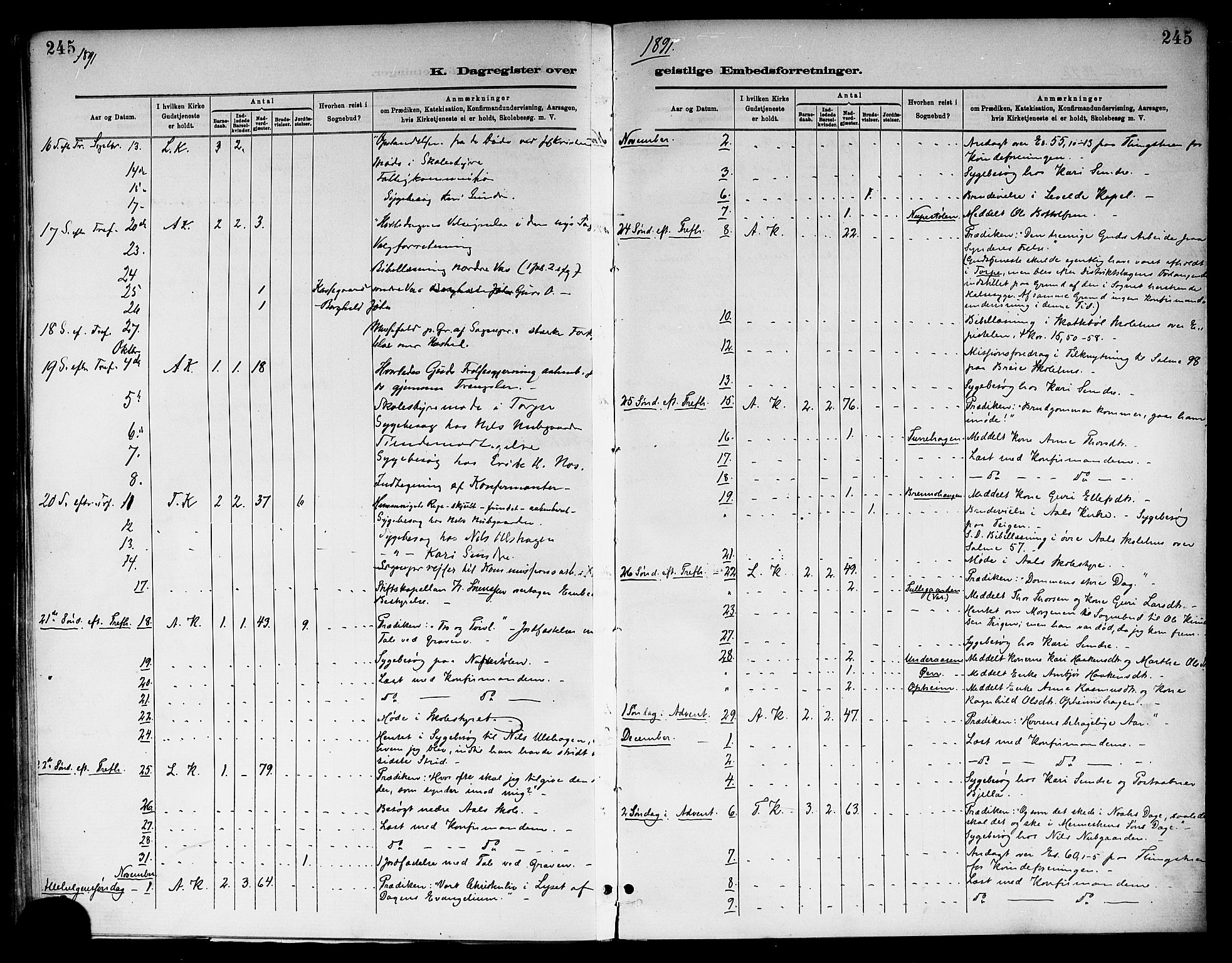 Ål kirkebøker, SAKO/A-249/F/Fa/L0008: Parish register (official) no. I 8, 1882-1896, p. 245