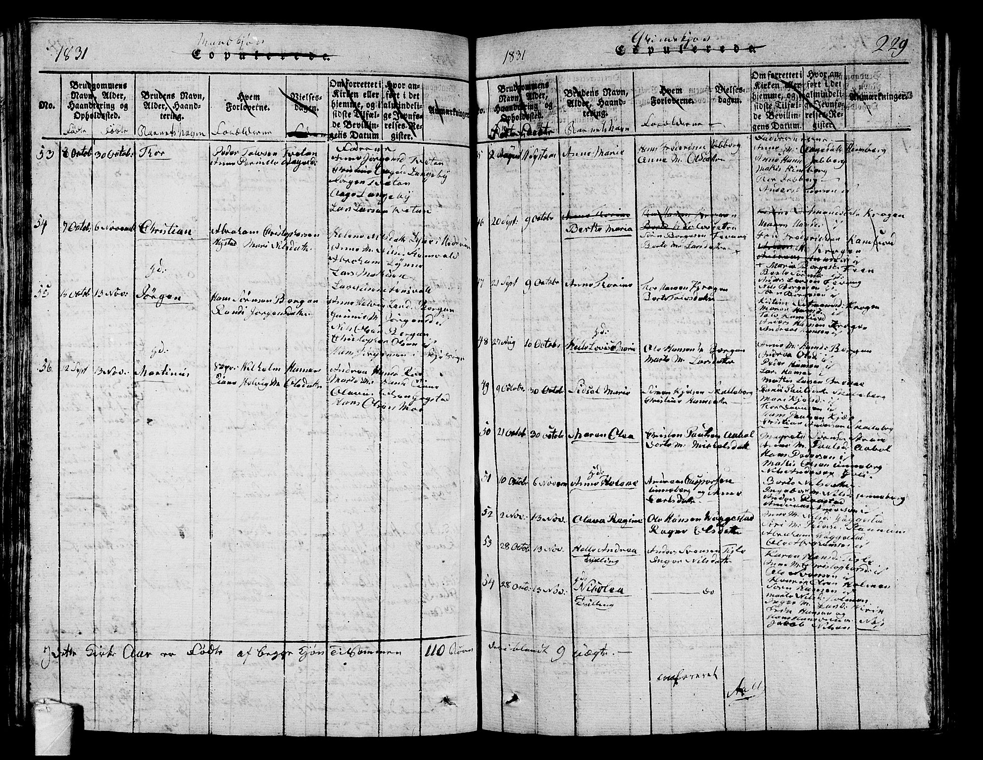 Sandar kirkebøker, SAKO/A-243/G/Ga/L0001: Parish register (copy) no. 1, 1814-1835, p. 229
