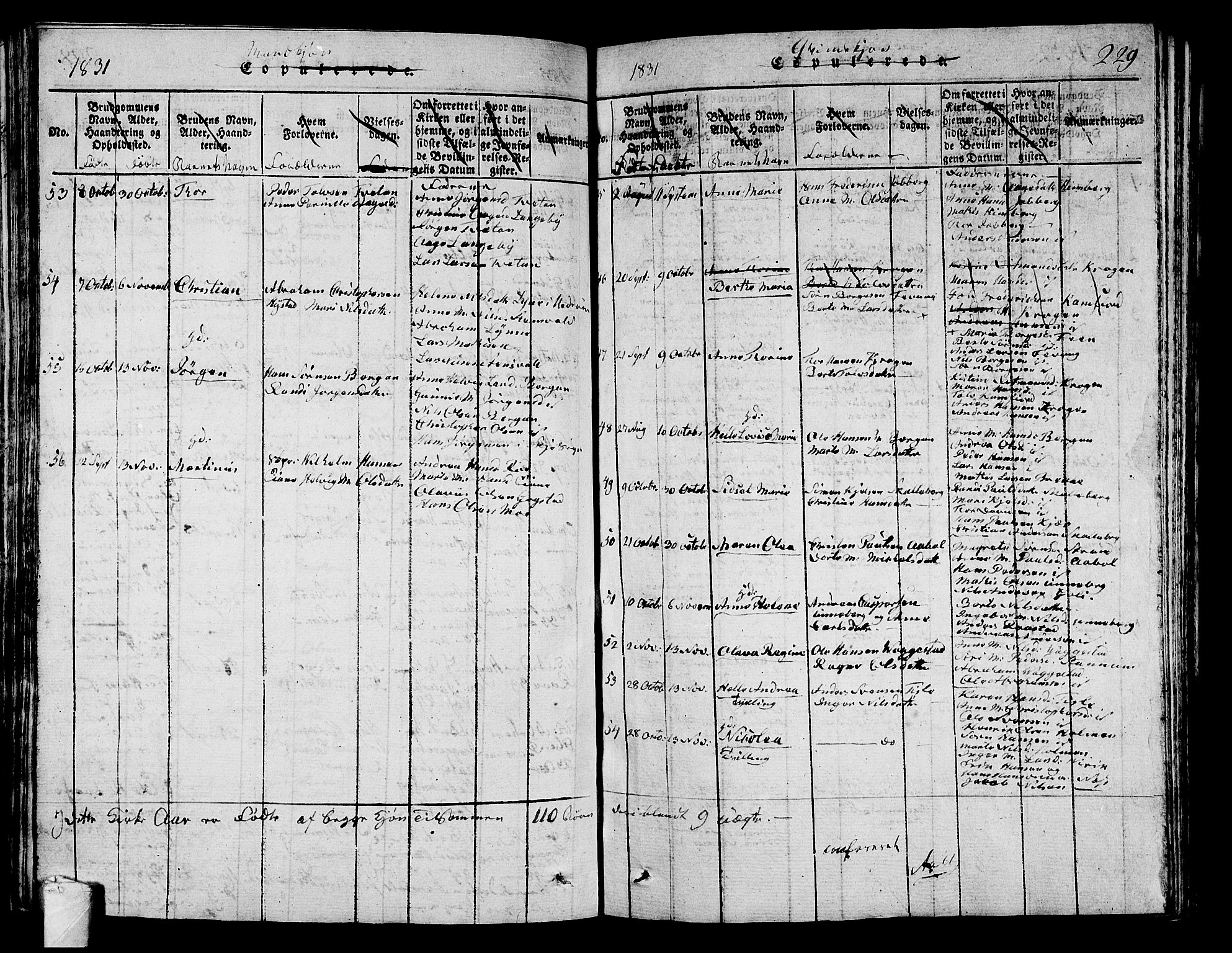 Sandar kirkebøker, AV/SAKO-A-243/G/Ga/L0001: Parish register (copy) no. 1, 1814-1835, p. 229