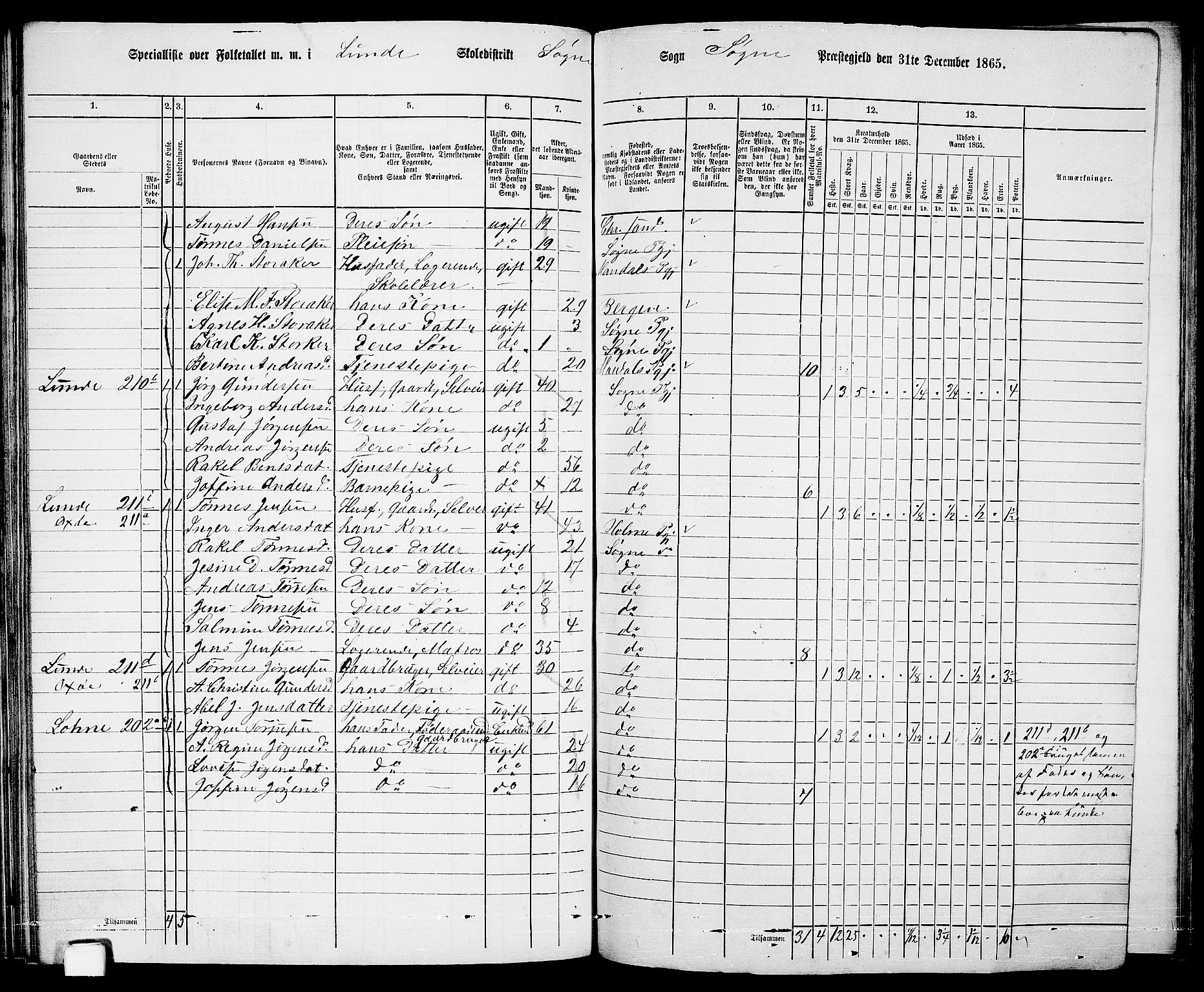 RA, 1865 census for Søgne, 1865, p. 87