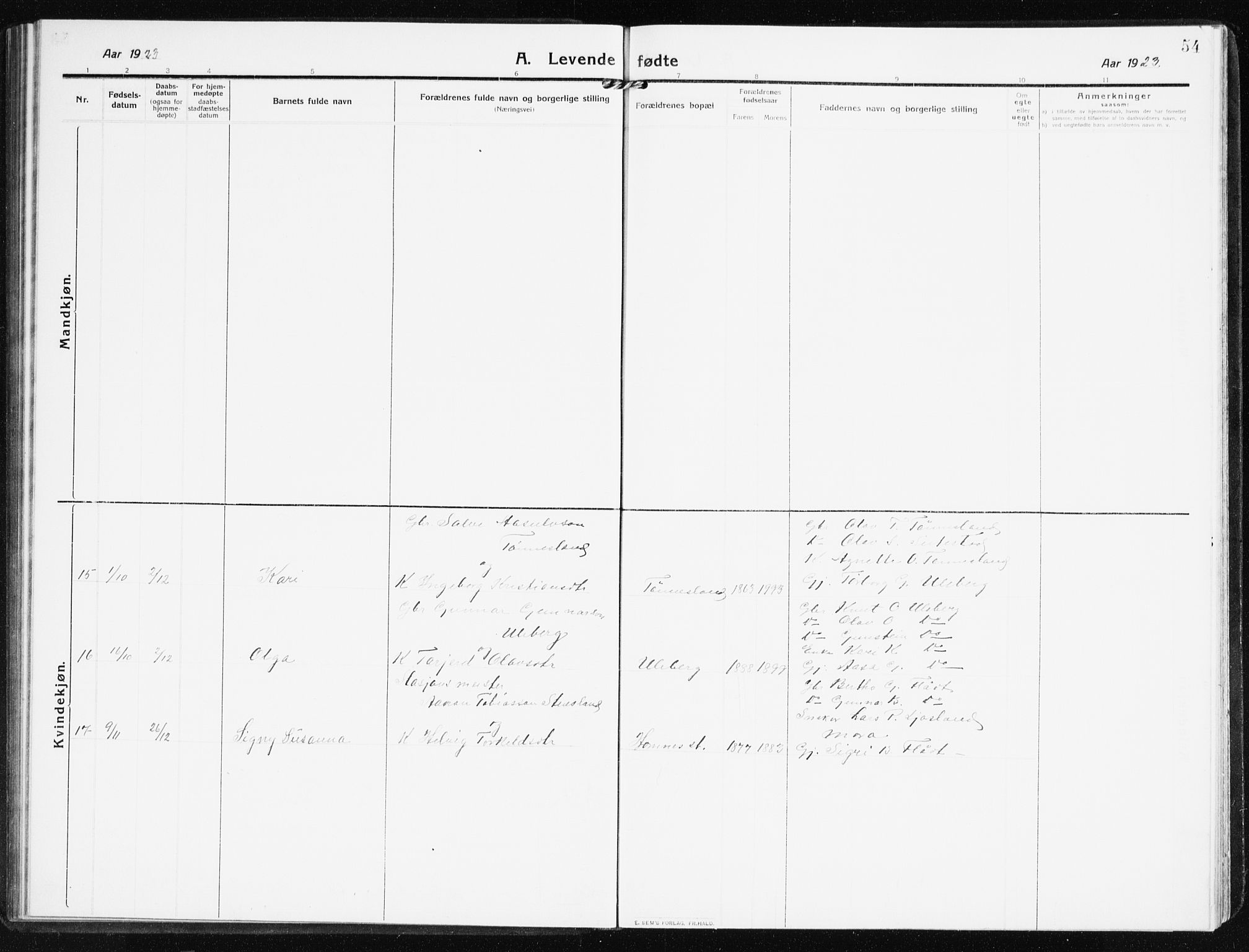 Evje sokneprestkontor, AV/SAK-1111-0008/F/Fb/Fbb/L0003: Parish register (copy) no. B 3, 1910-1933, p. 54