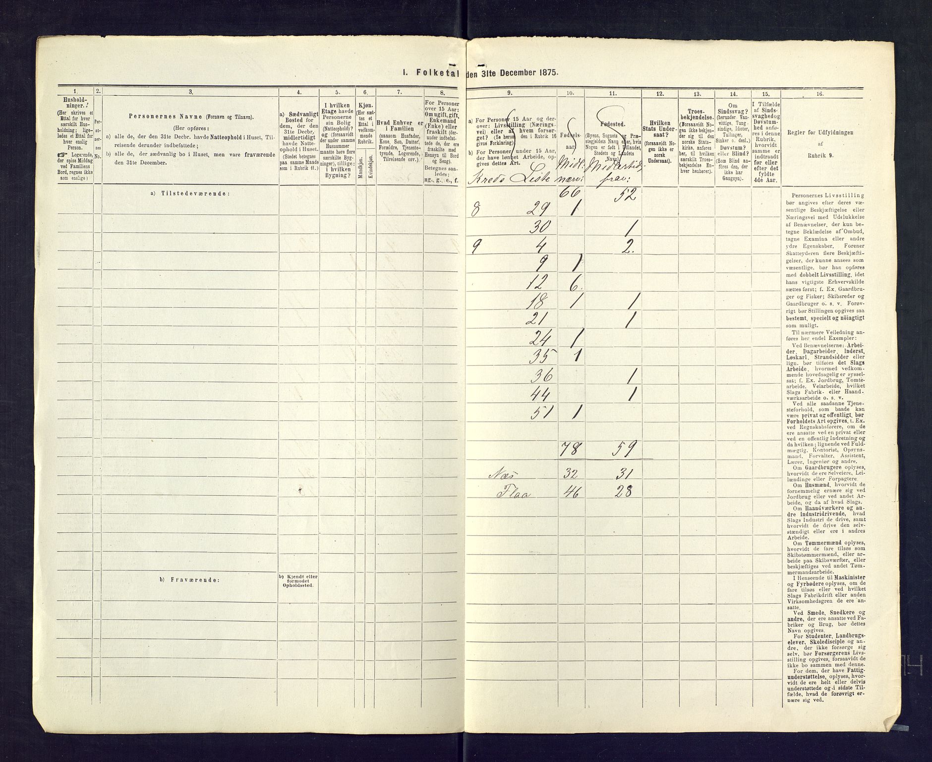 SAKO, 1875 census for 0616P Nes, 1875, p. 52