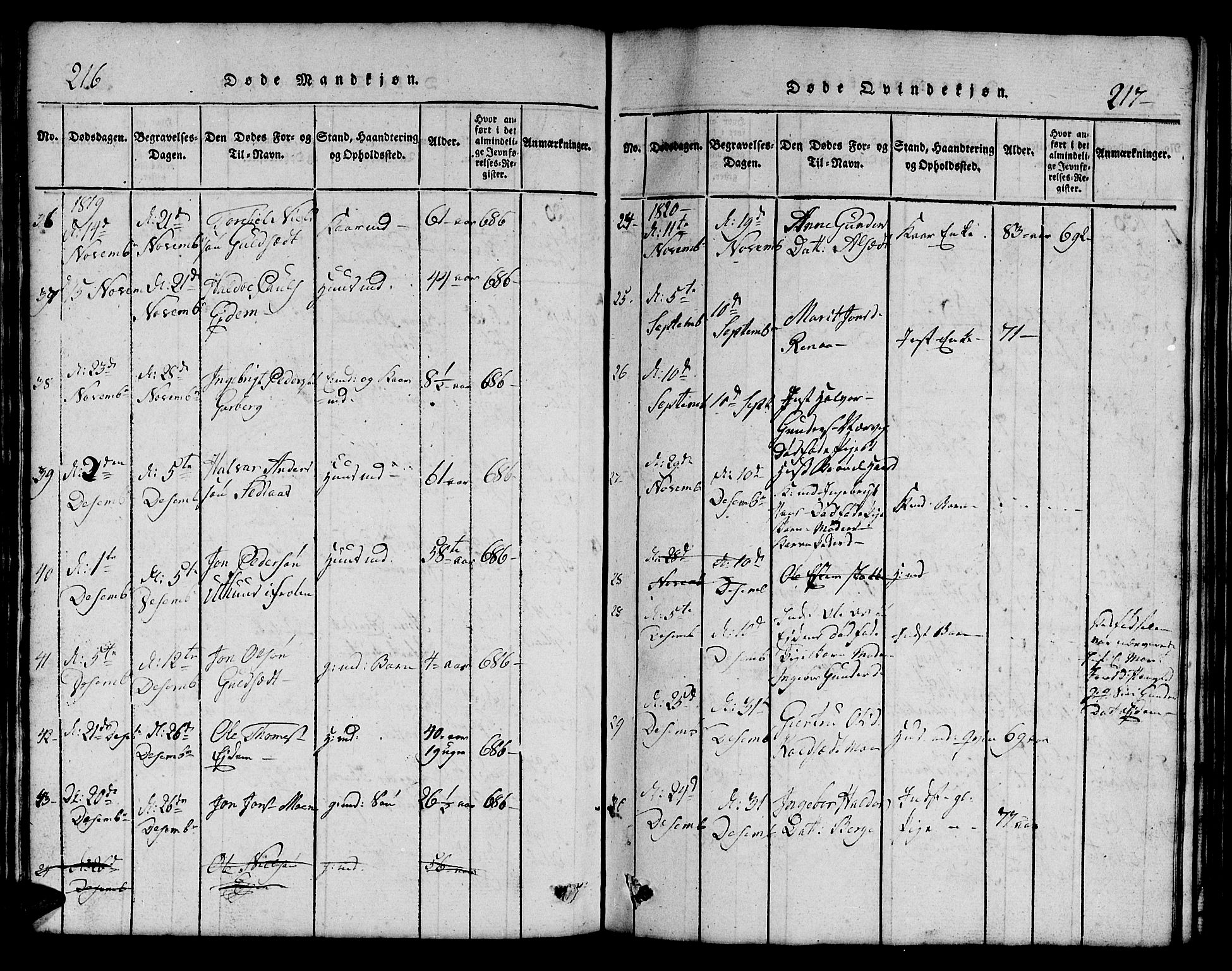 Ministerialprotokoller, klokkerbøker og fødselsregistre - Sør-Trøndelag, SAT/A-1456/695/L1152: Parish register (copy) no. 695C03, 1816-1831, p. 216-217