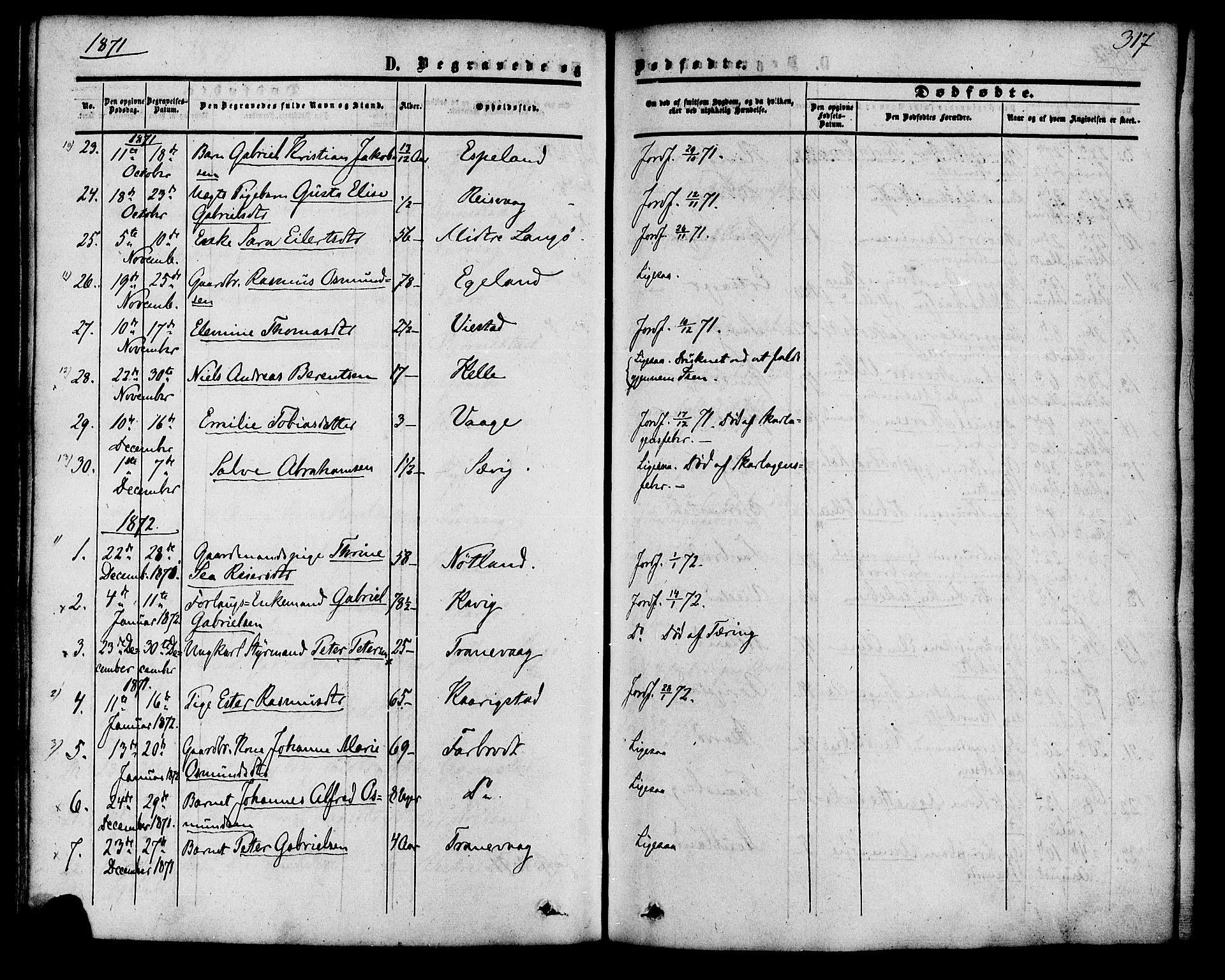 Herad sokneprestkontor, SAK/1111-0018/F/Fa/Fab/L0004: Parish register (official) no. A 4, 1853-1885, p. 317
