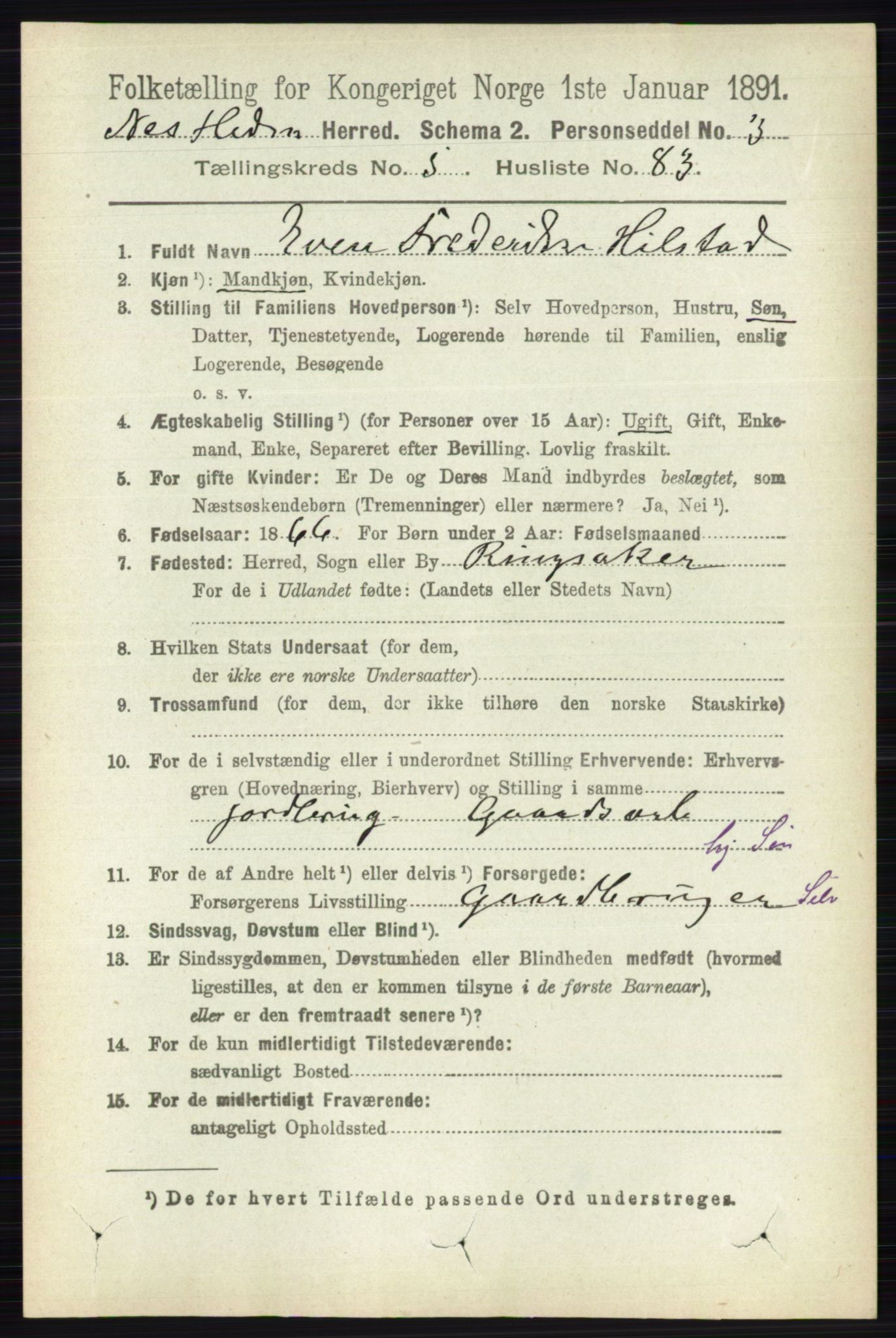 RA, 1891 census for 0411 Nes, 1891, p. 3141
