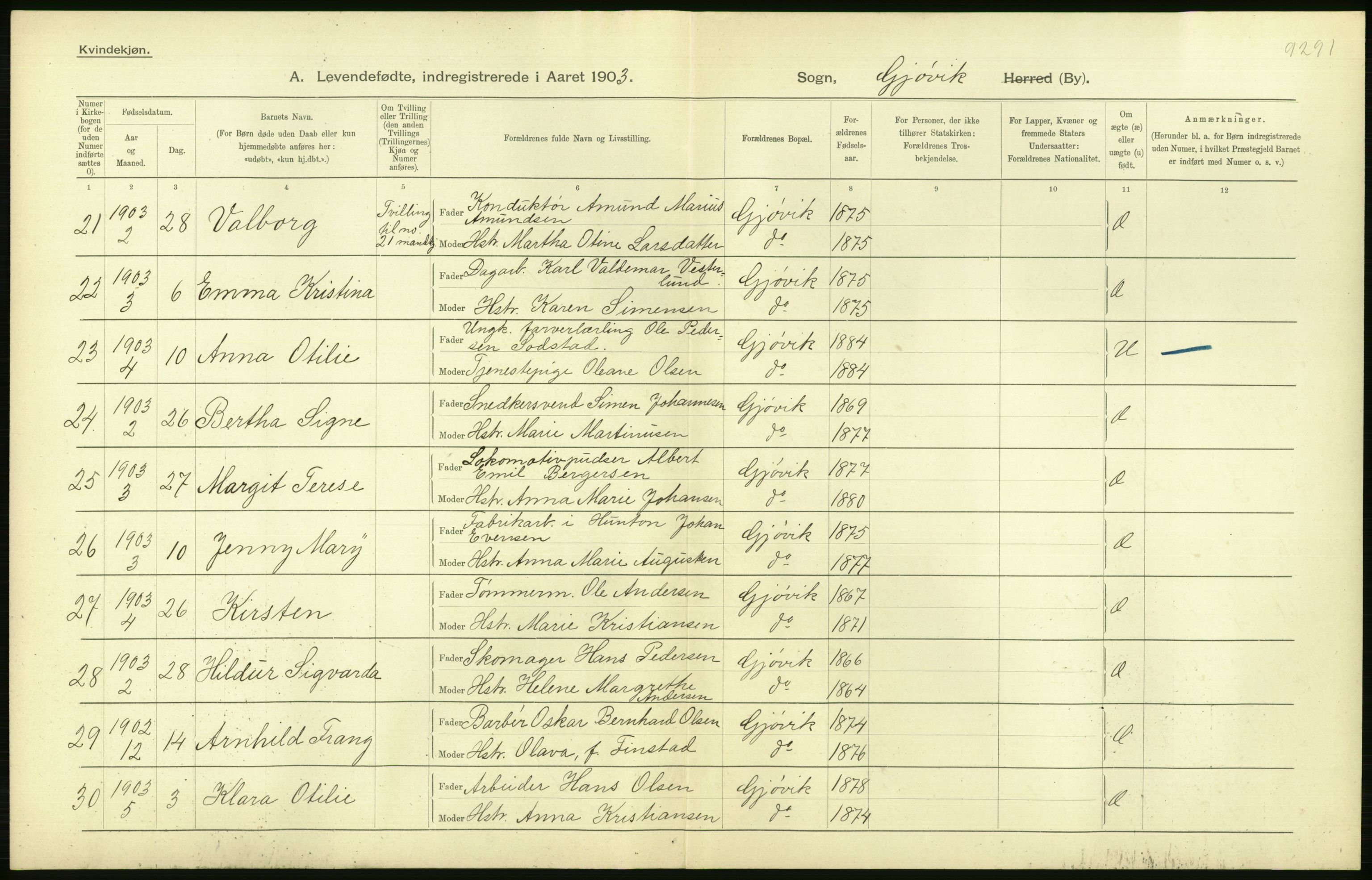 Statistisk sentralbyrå, Sosiodemografiske emner, Befolkning, AV/RA-S-2228/D/Df/Dfa/Dfaa/L0006: Kristians amt: Fødte, gifte, døde, 1903, p. 396