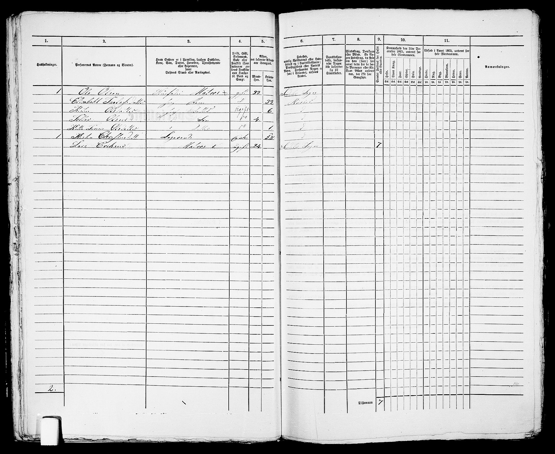 RA, 1865 census for Risør/Risør, 1865, p. 376