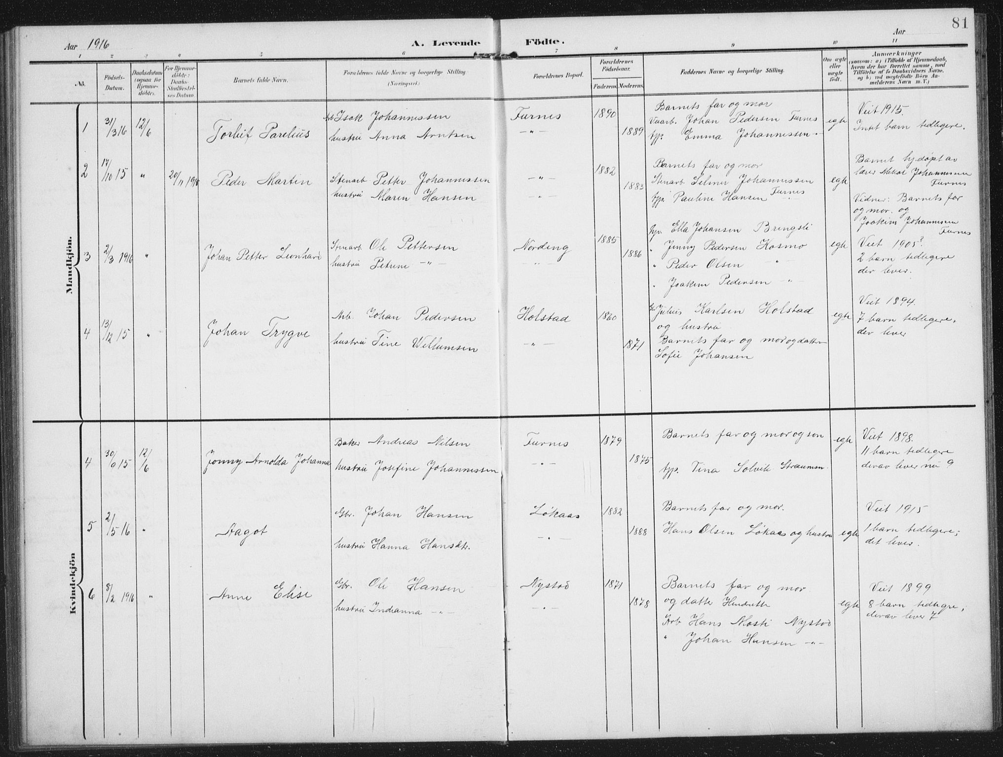 Ministerialprotokoller, klokkerbøker og fødselsregistre - Nordland, AV/SAT-A-1459/851/L0726: Parish register (copy) no. 851C01, 1902-1924, p. 81