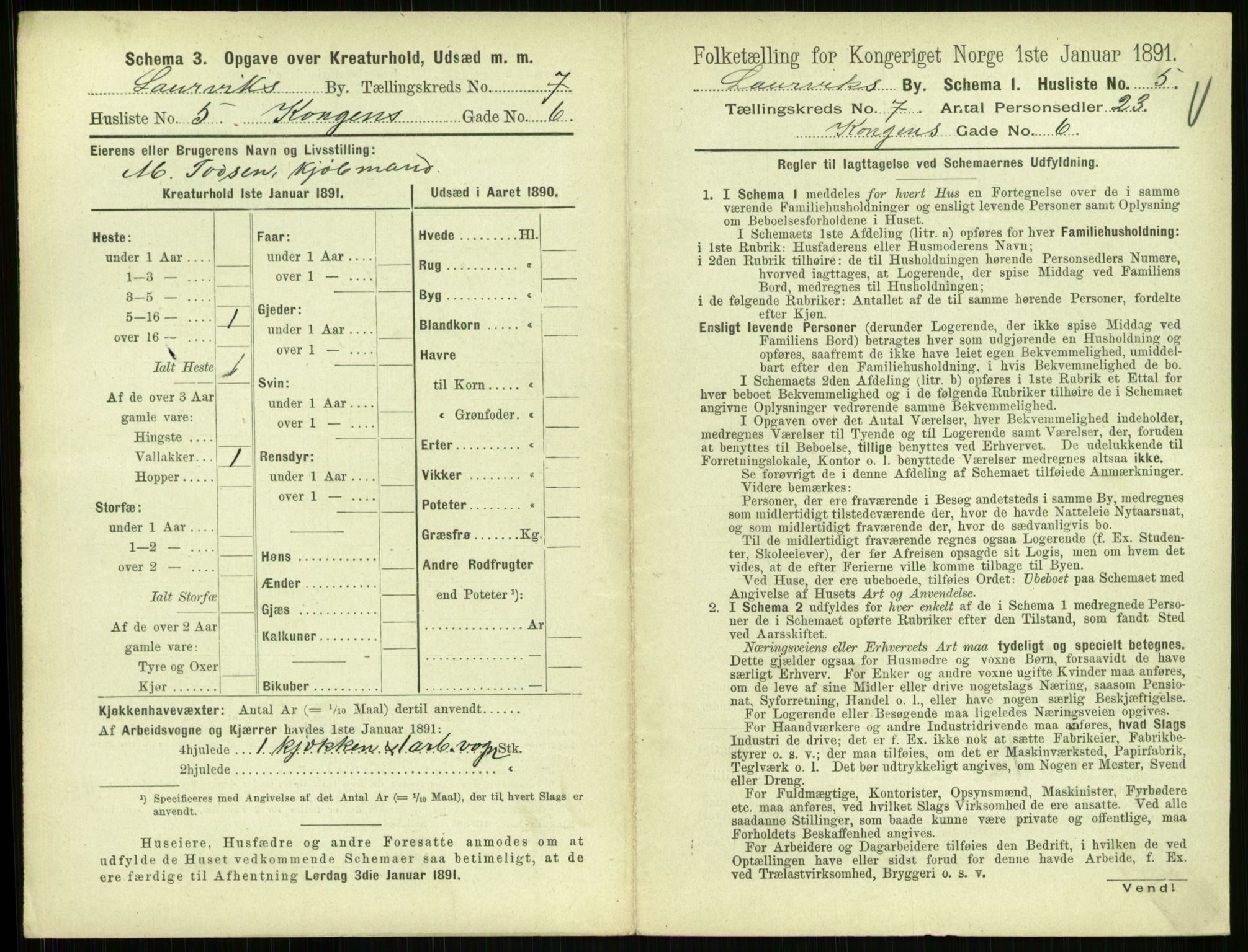 RA, 1891 census for 0707 Larvik, 1891, p. 915