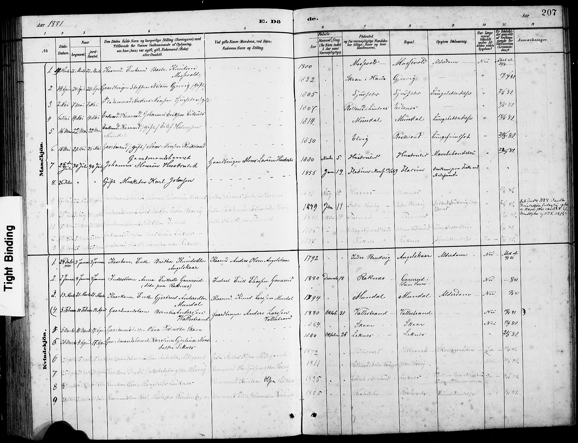 Hamre sokneprestembete, AV/SAB-A-75501/H/Ha/Hab: Parish register (copy) no. B 3, 1881-1898, p. 207