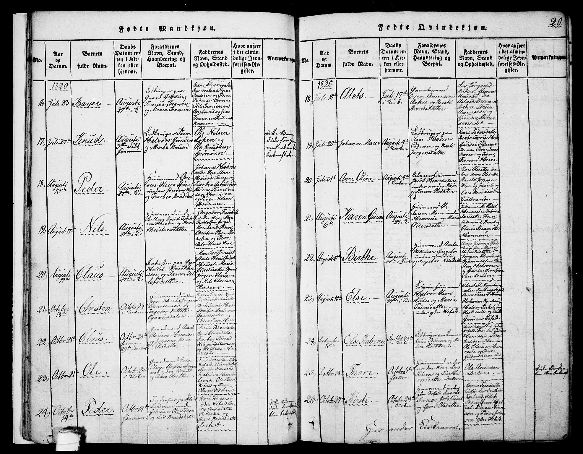 Drangedal kirkebøker, SAKO/A-258/F/Fa/L0005: Parish register (official) no. 5 /1, 1814-1831, p. 20