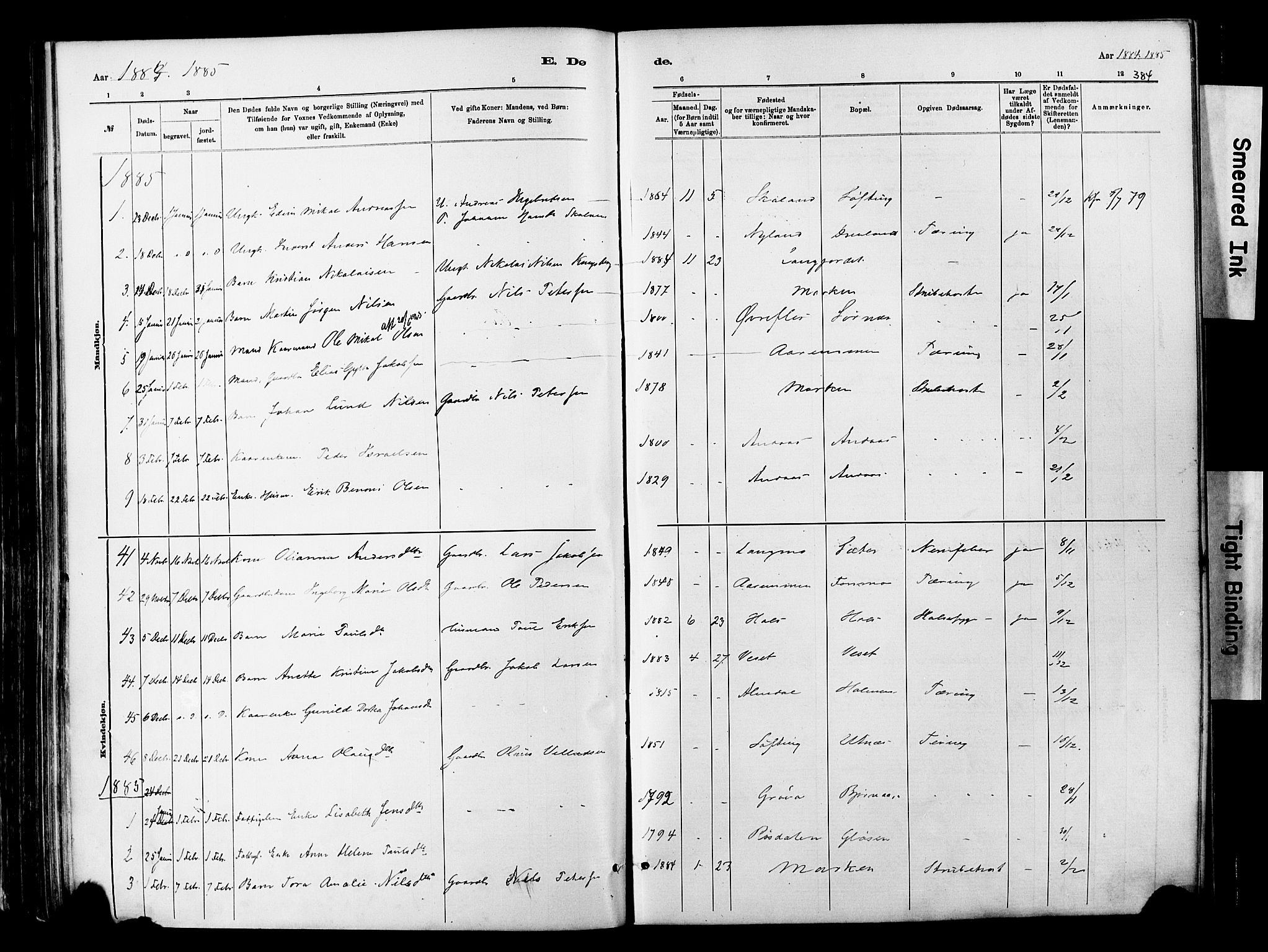 Ministerialprotokoller, klokkerbøker og fødselsregistre - Nordland, SAT/A-1459/820/L0295: Parish register (official) no. 820A16, 1880-1896, p. 384