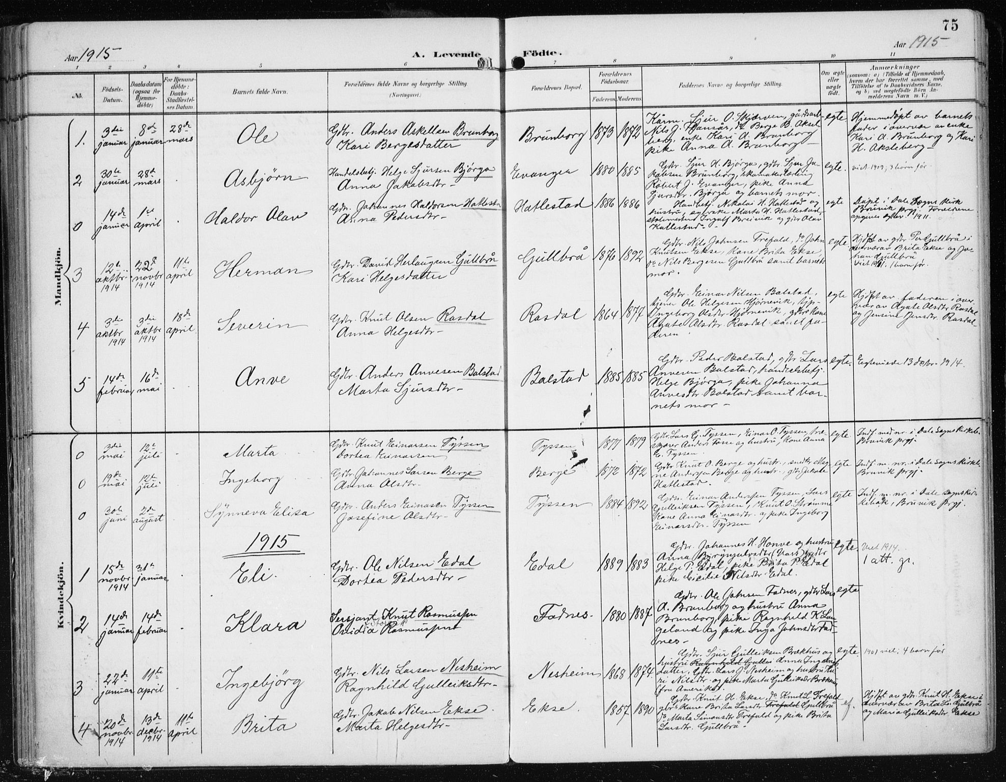 Evanger sokneprestembete, SAB/A-99924: Parish register (official) no. A  3, 1900-1930, p. 75