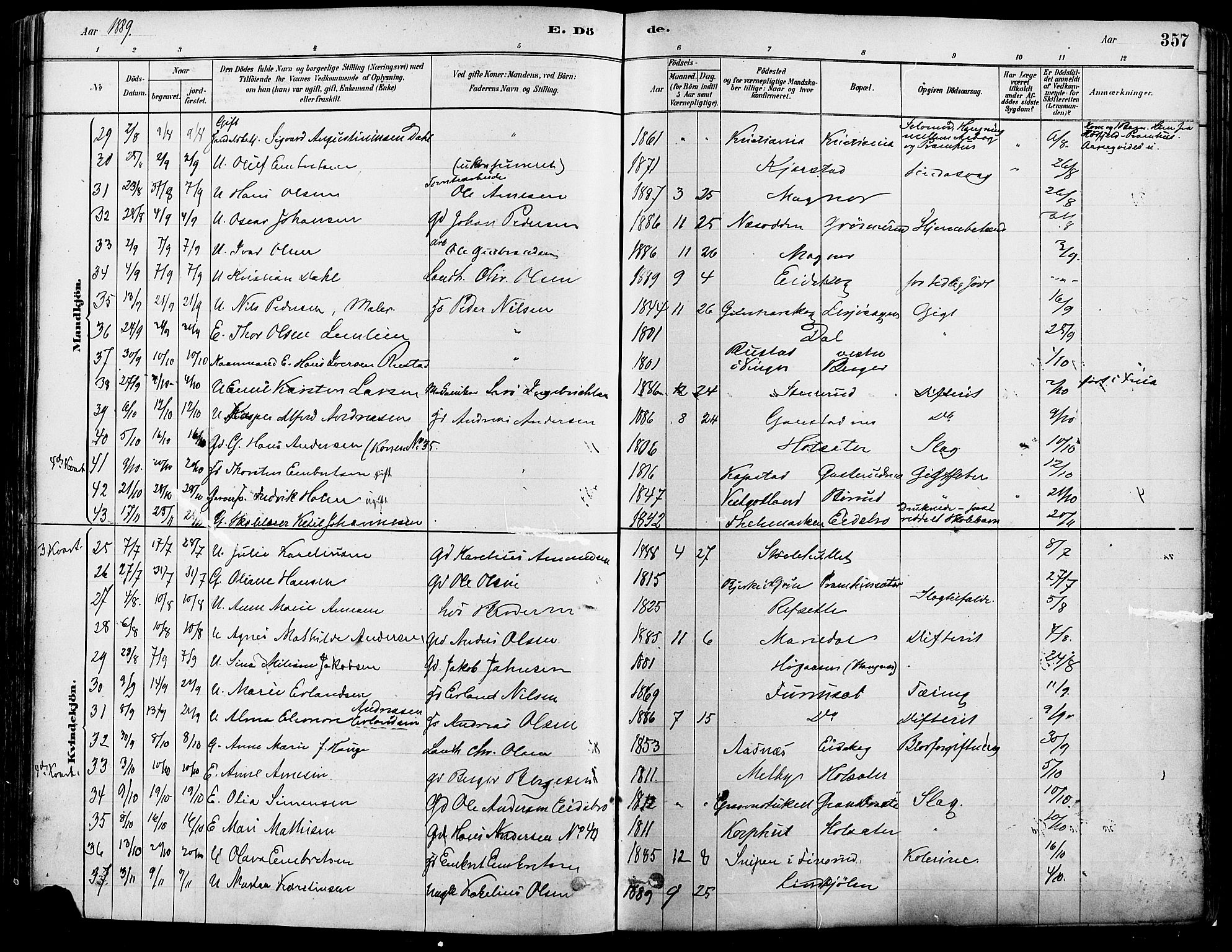 Eidskog prestekontor, SAH/PREST-026/H/Ha/Haa/L0003: Parish register (official) no. 3, 1879-1892, p. 357
