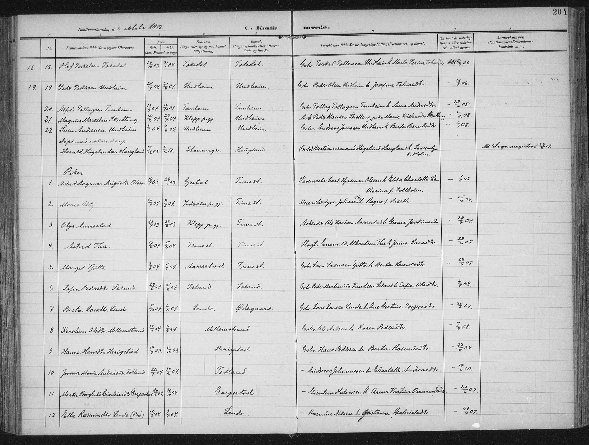 Lye sokneprestkontor, AV/SAST-A-101794/002/A/L0001: Parish register (official) no. A 12, 1904-1920, p. 204